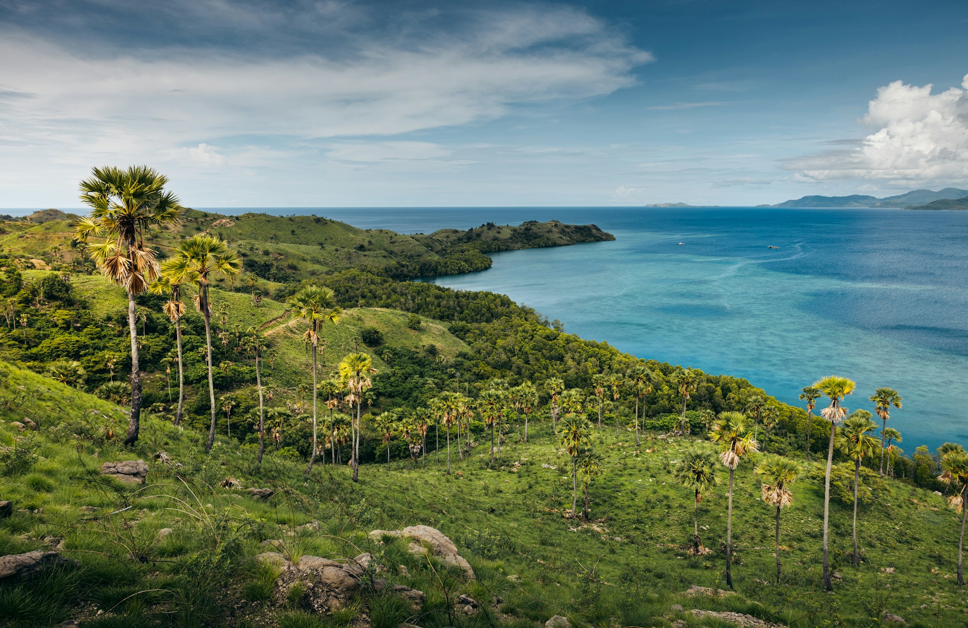 A lush green hillside next to a body of water