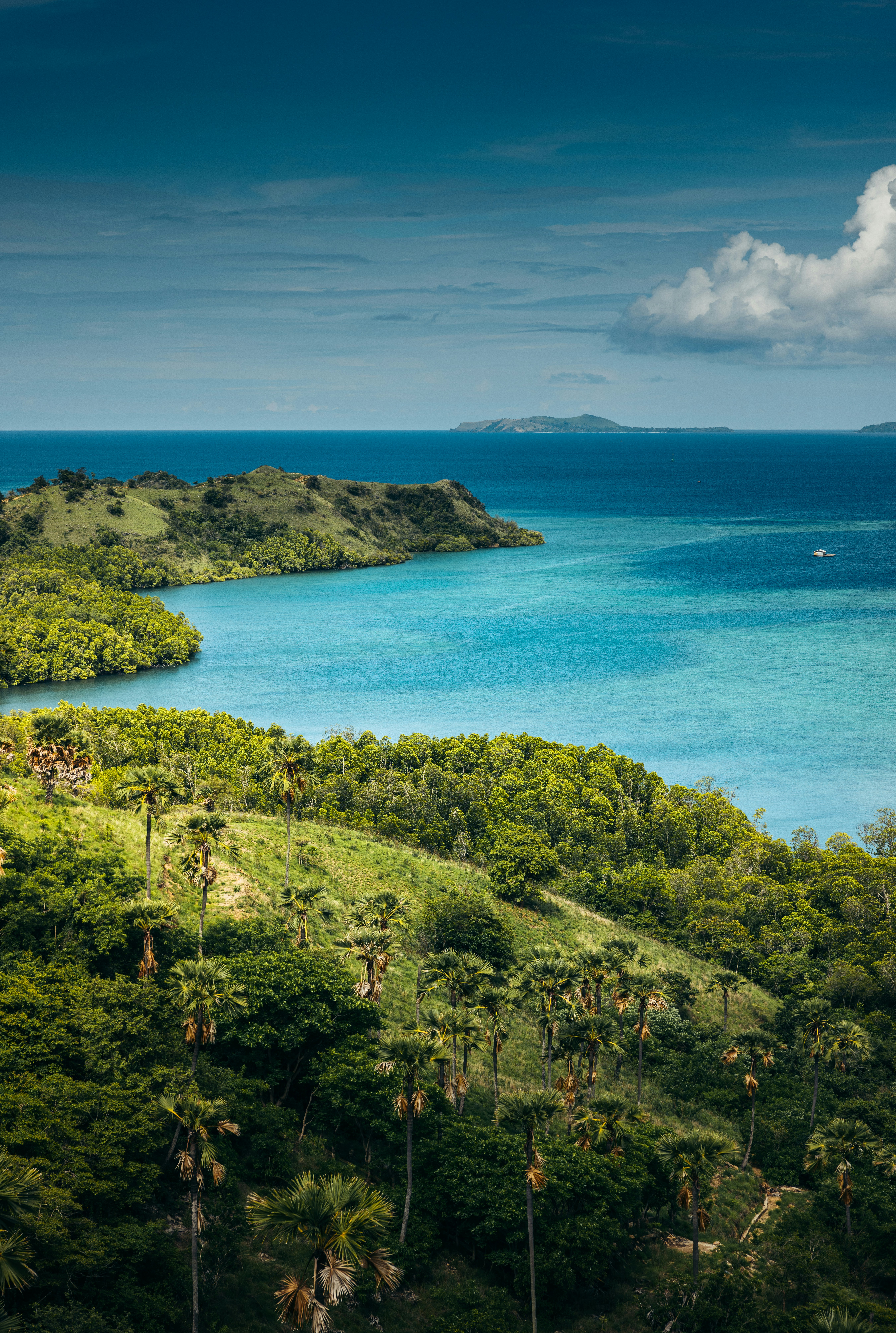 Photo by springsimon