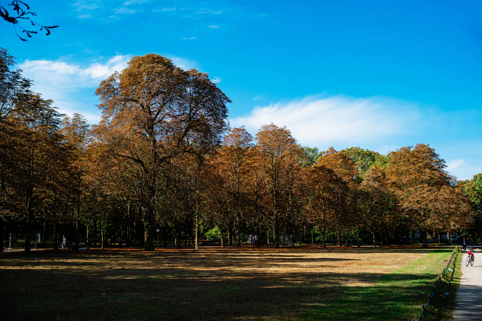 The image depicts a serene park scene with tall, leafy trees lining a path that cuts through the center of the frame. The sky above is a clear blue, dotted with fluffy white clouds. In the foreground, there are two individuals walking on the path, one closer to the viewer and the other further away in the distance. A person can be seen riding a bicycle near the right edge of the image.