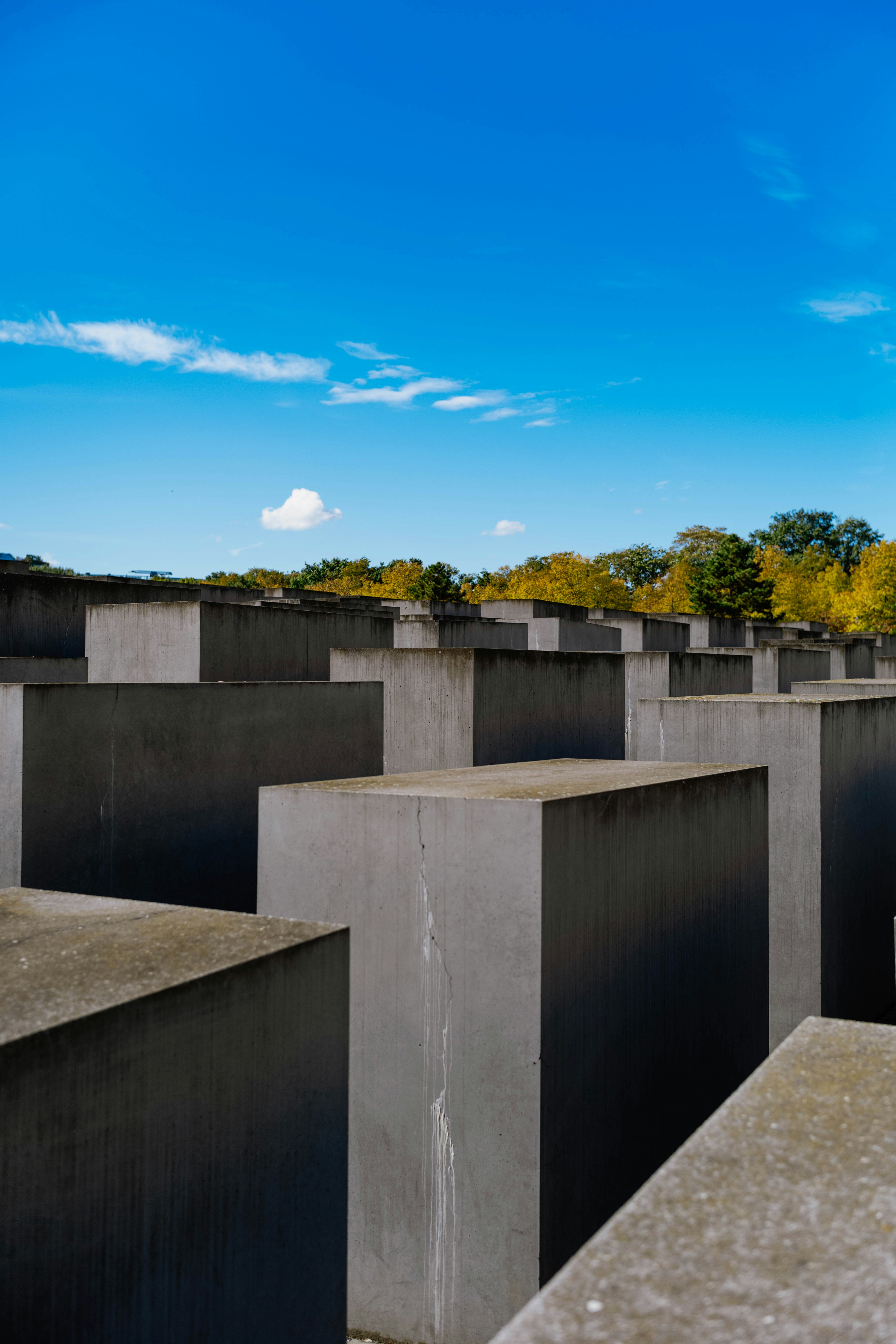 Photo by tommaomaoer