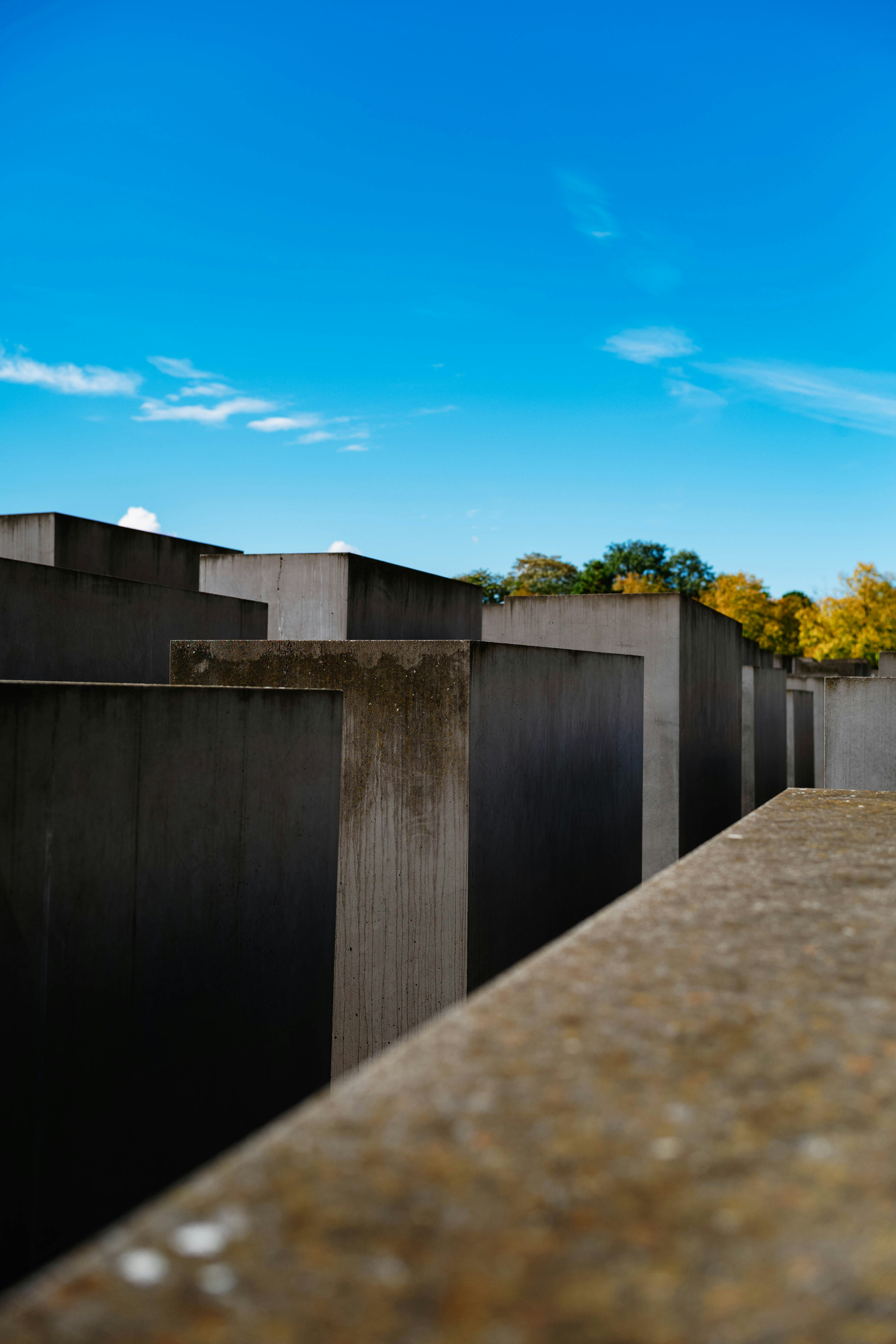 Photo by tommaomaoer