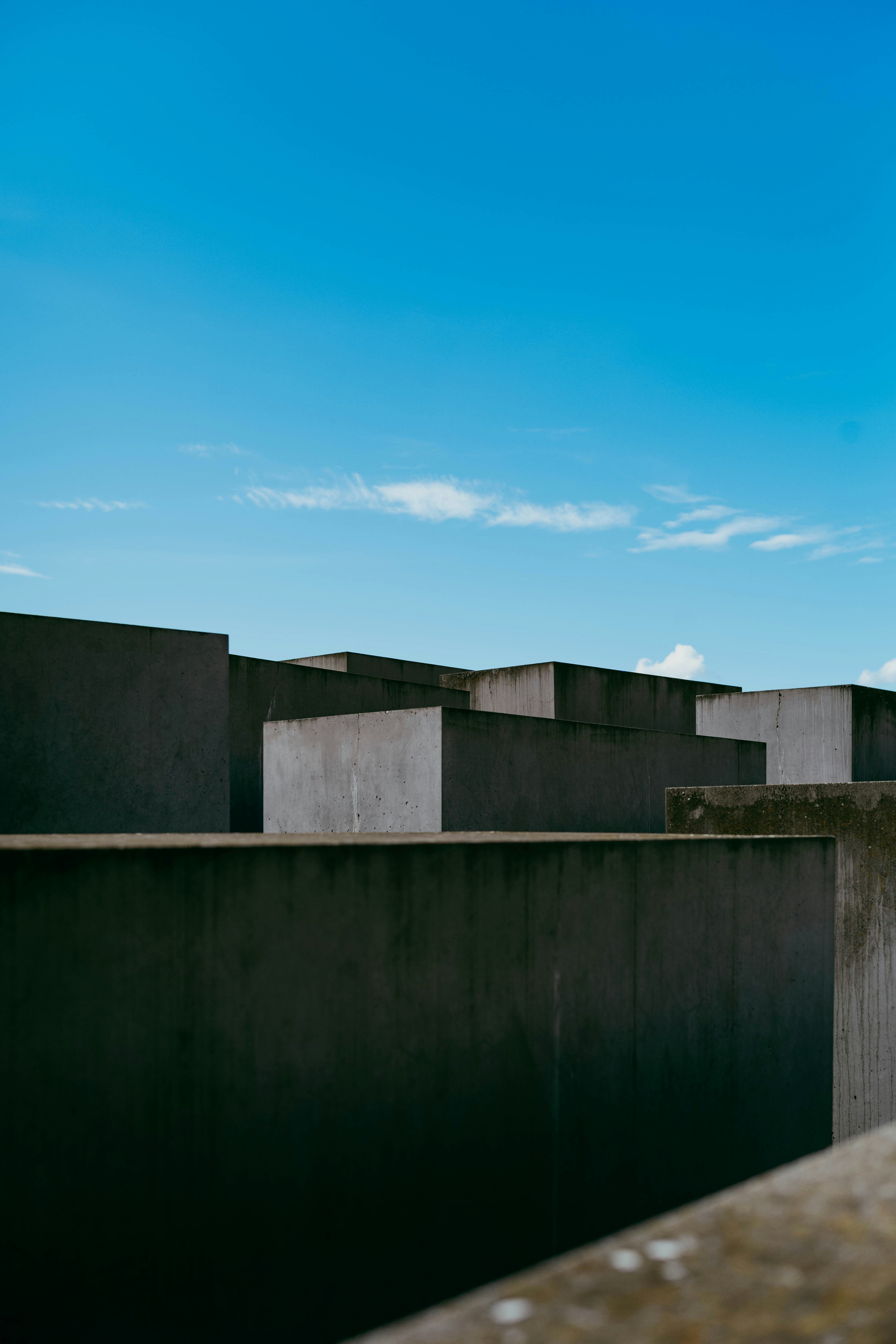 Photo by tommaomaoer