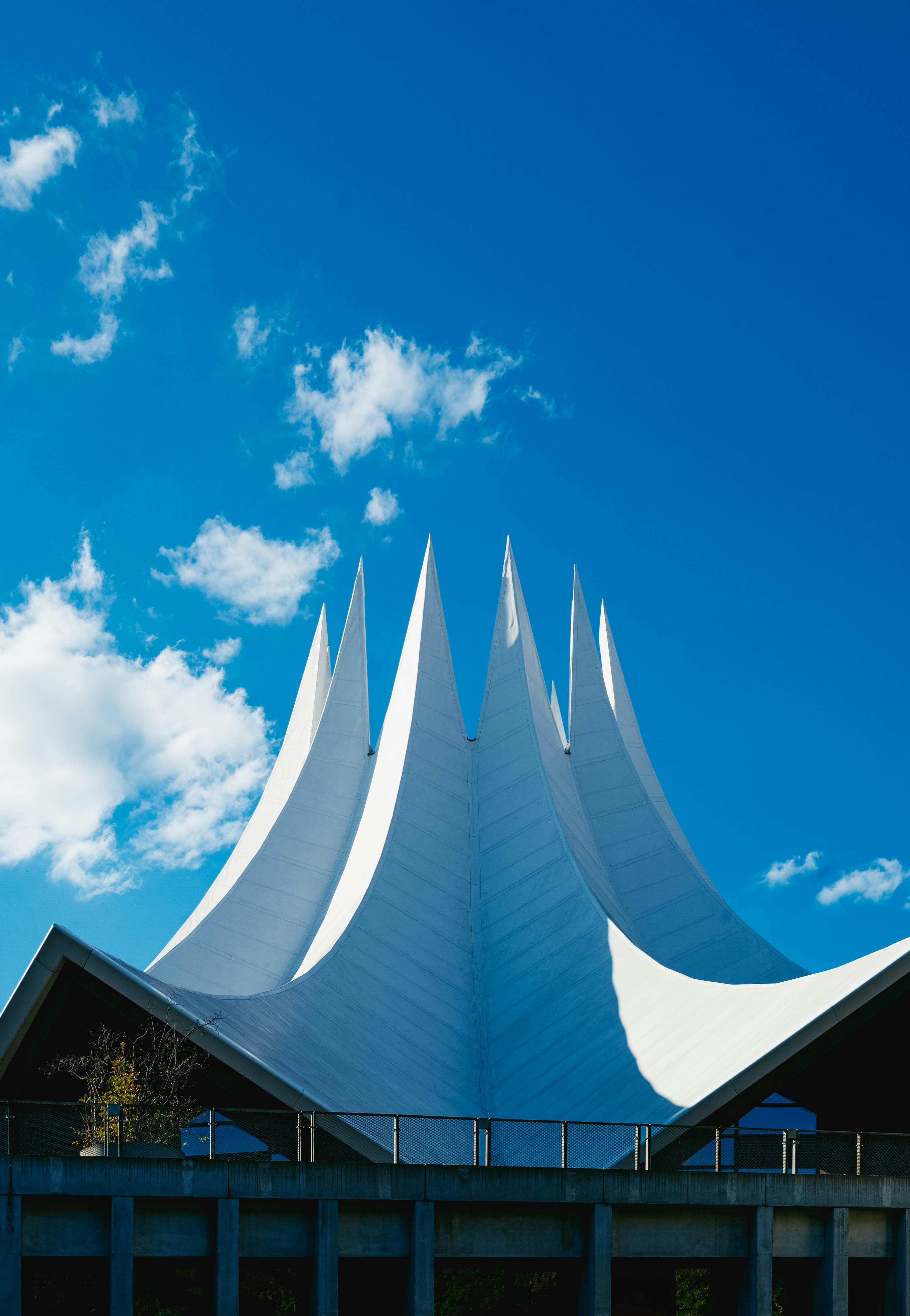 Photo by tommaomaoer