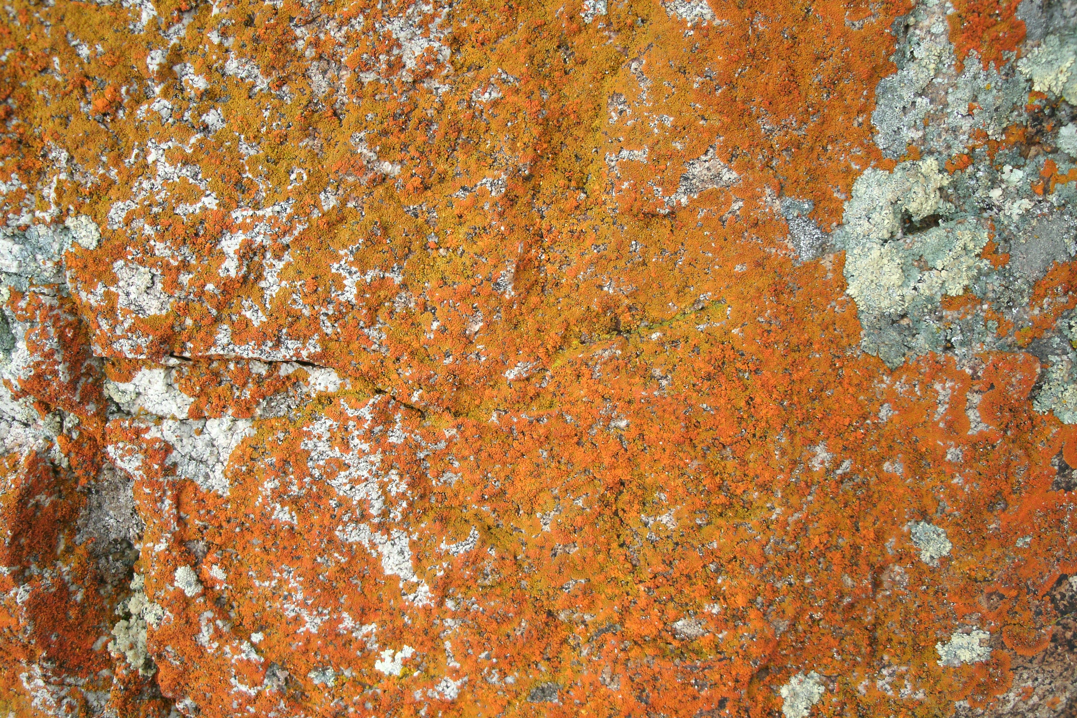 Photo by oldschoolviews