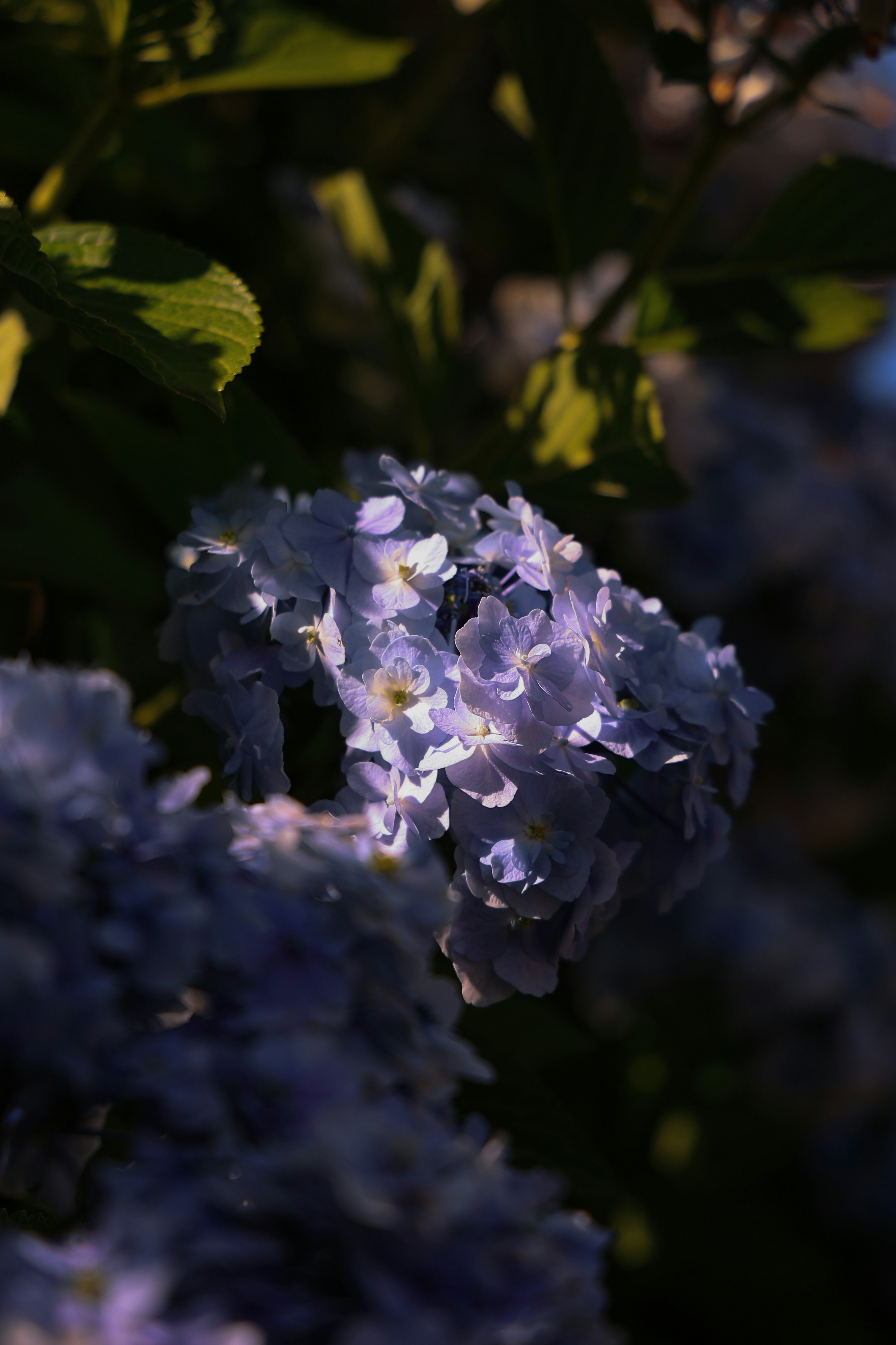 Photo by larisarunova