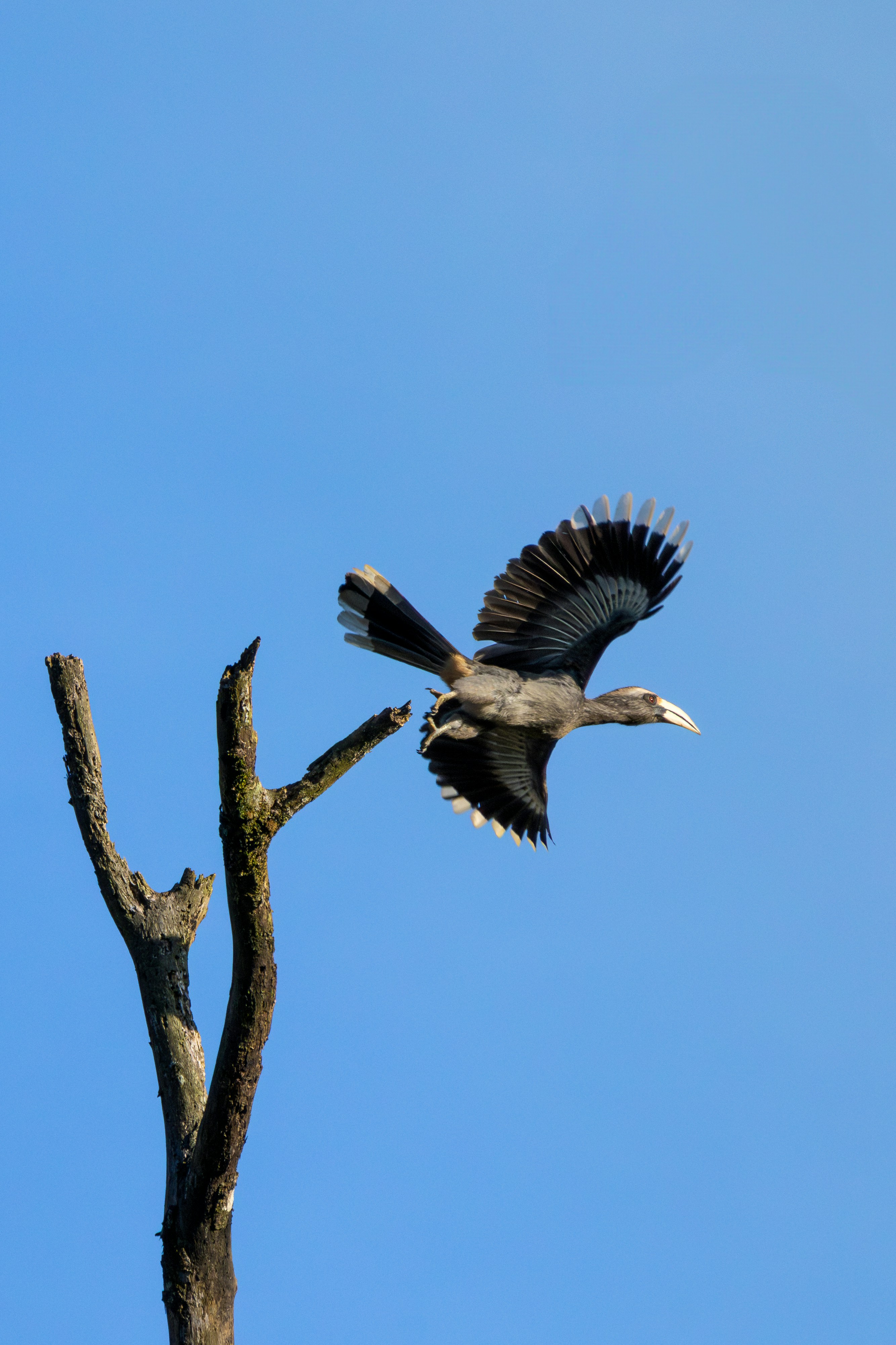 Photo by sameer_srivastava