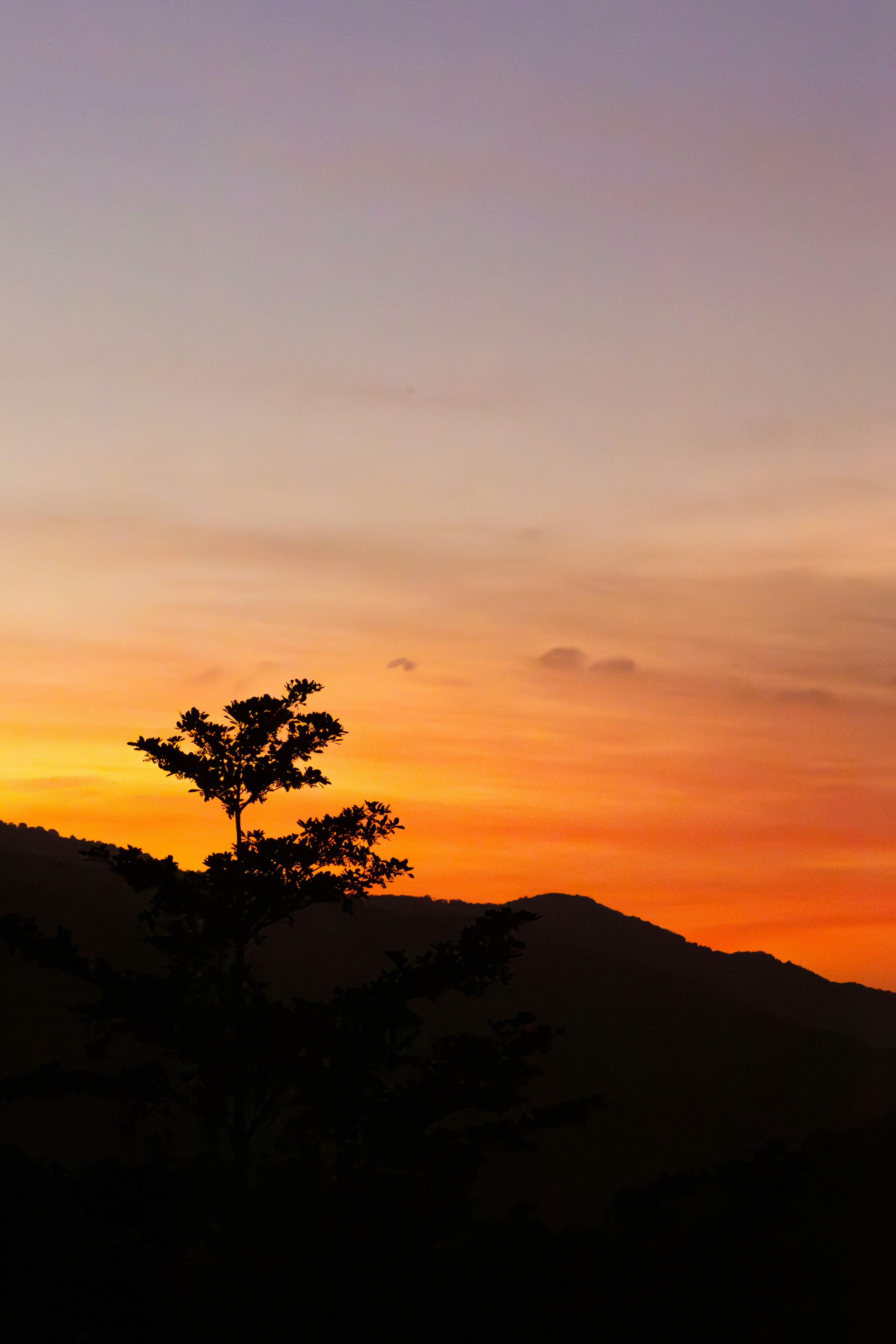 Photo by sameer_srivastava