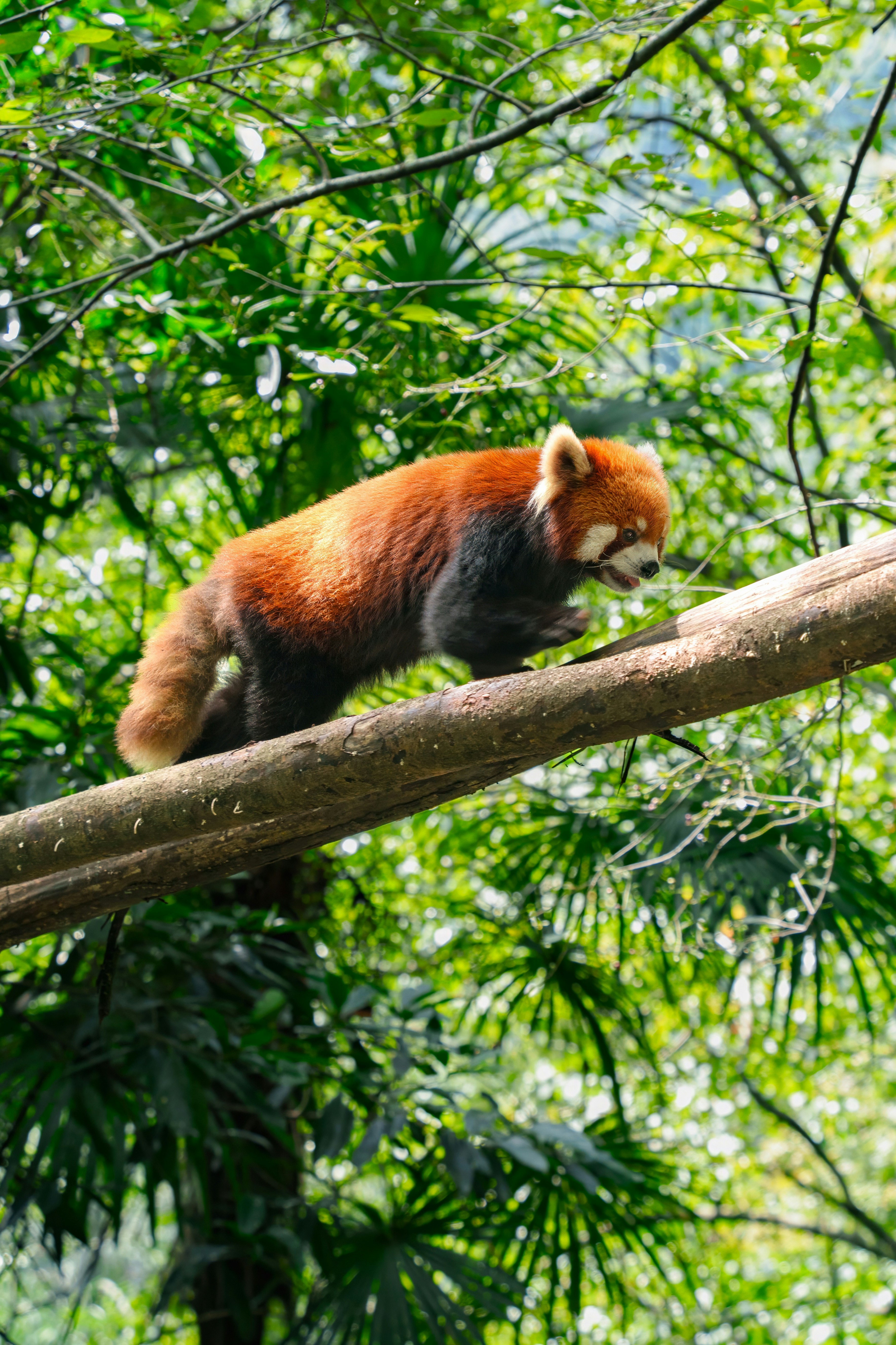 Photo by hattrick1996