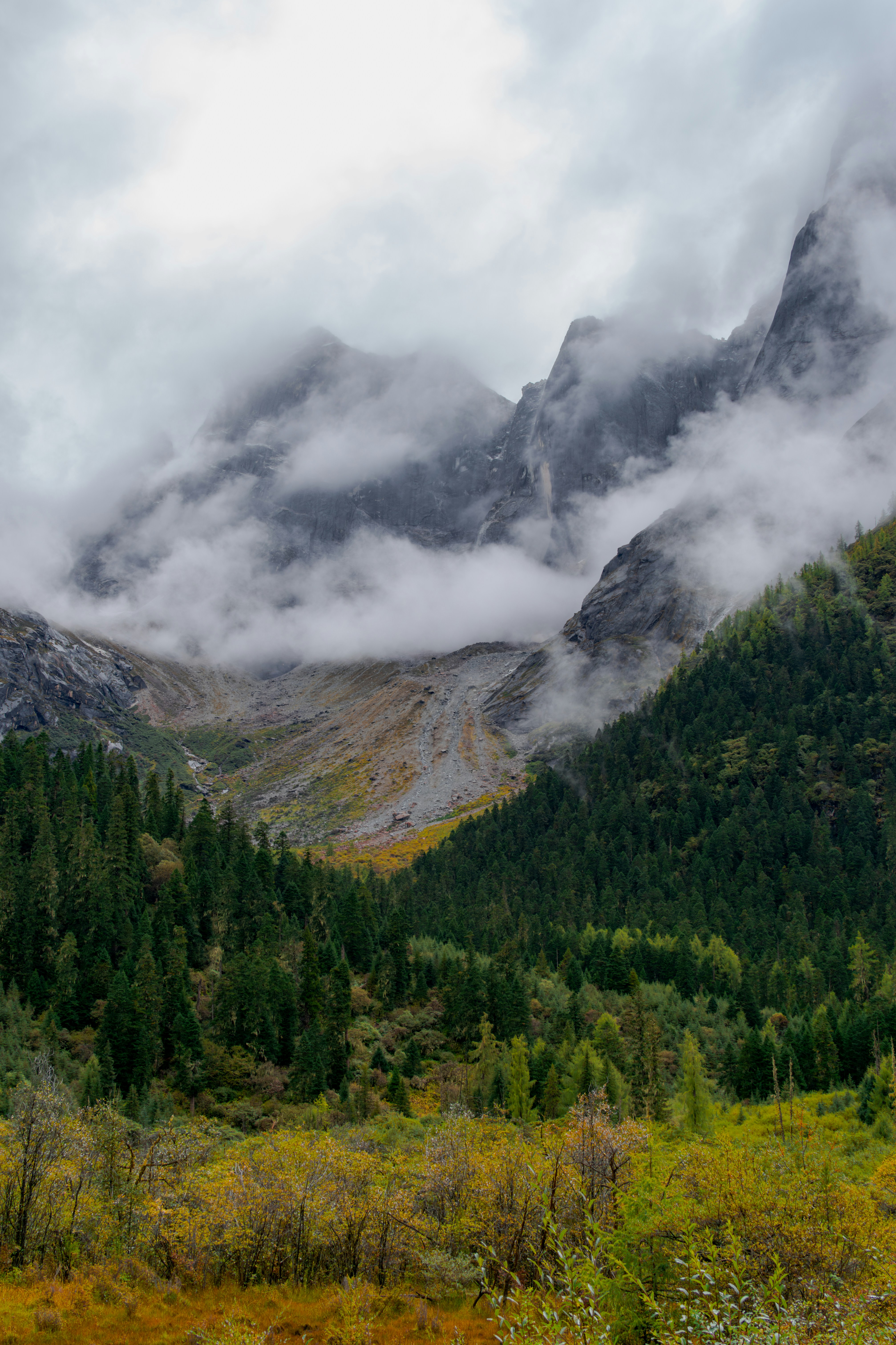 Photo by hattrick1996