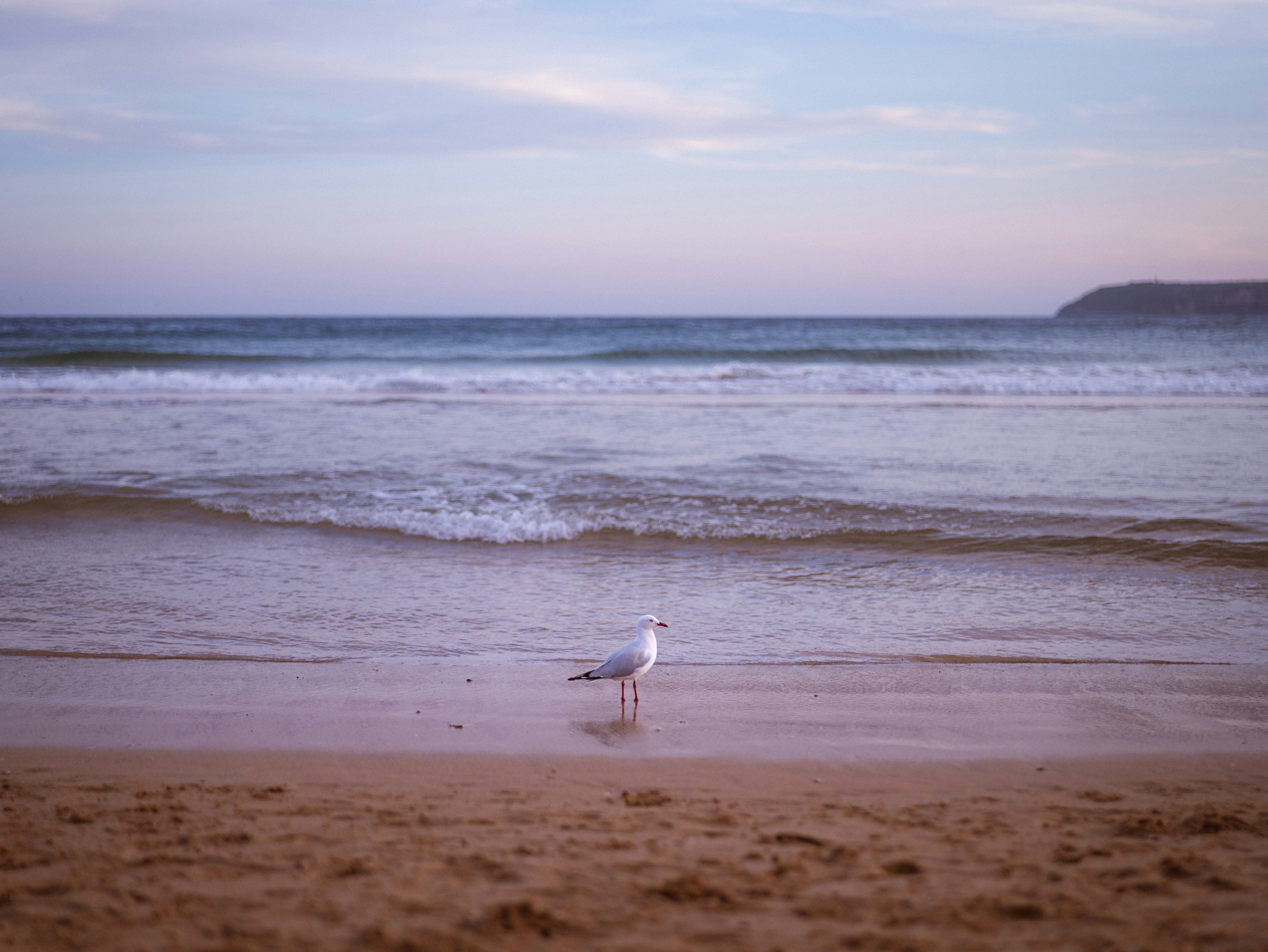 Photo by junelmujar
