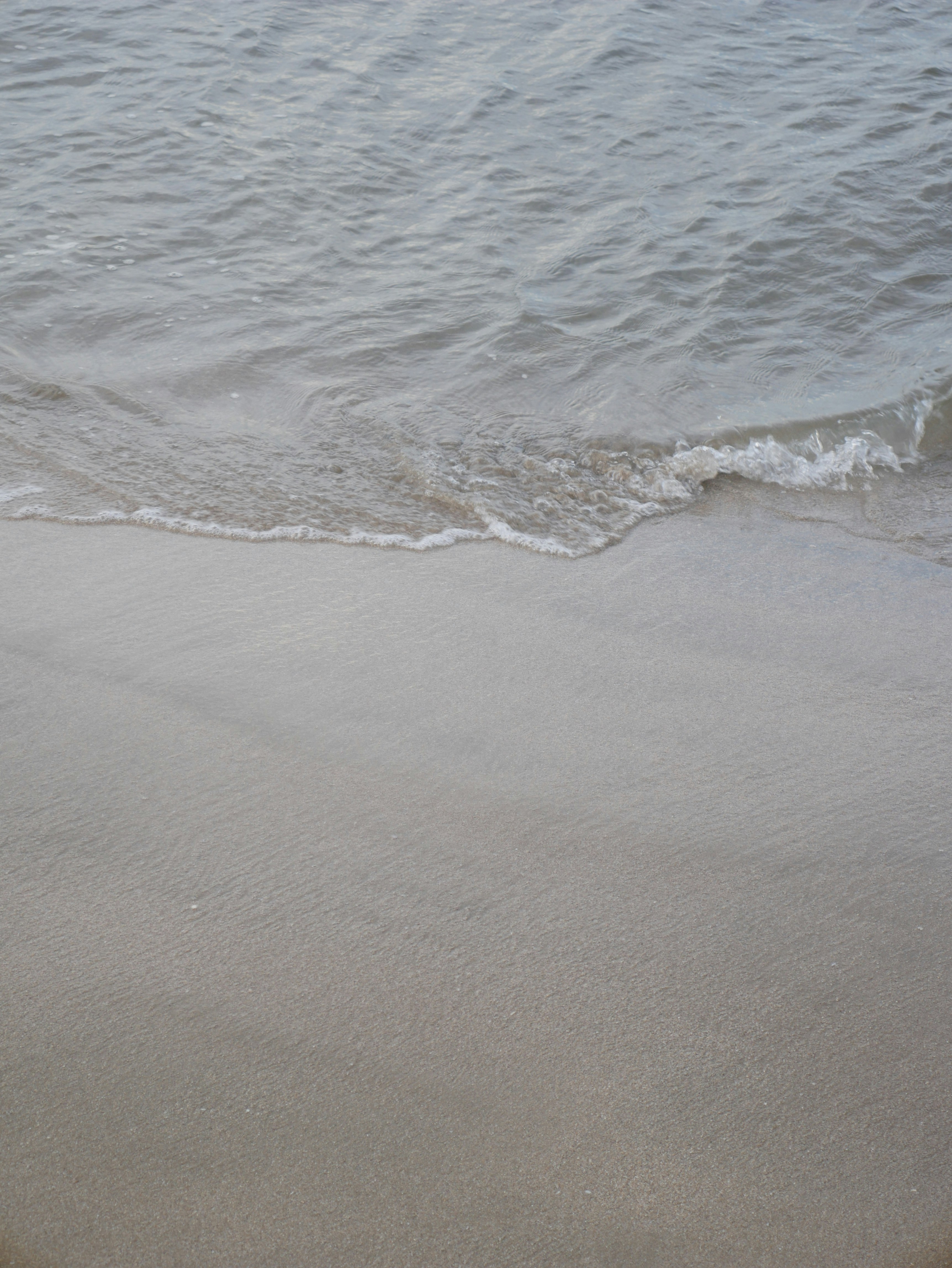 Photo by franxx_goggy