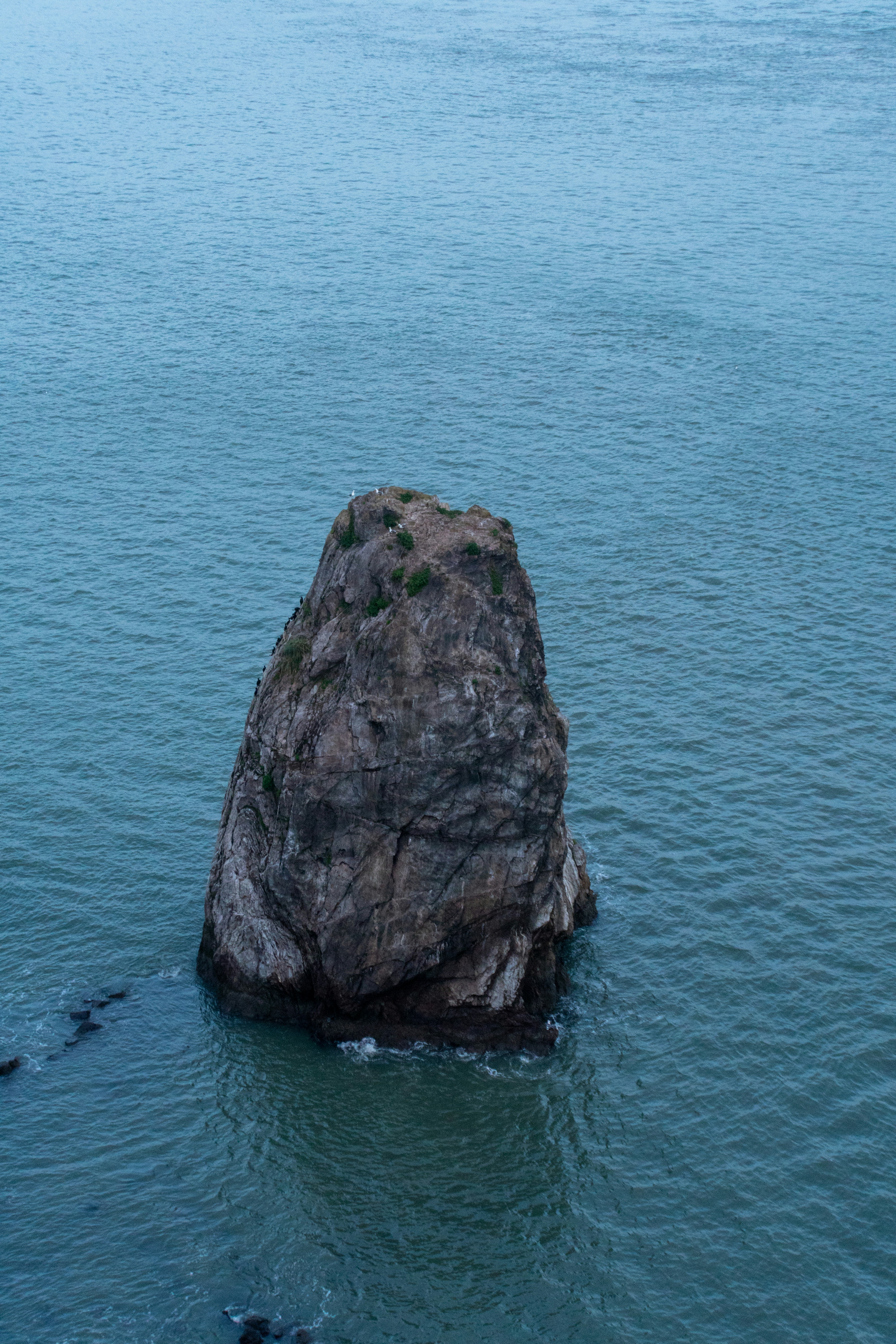 Photo by naveenketterer