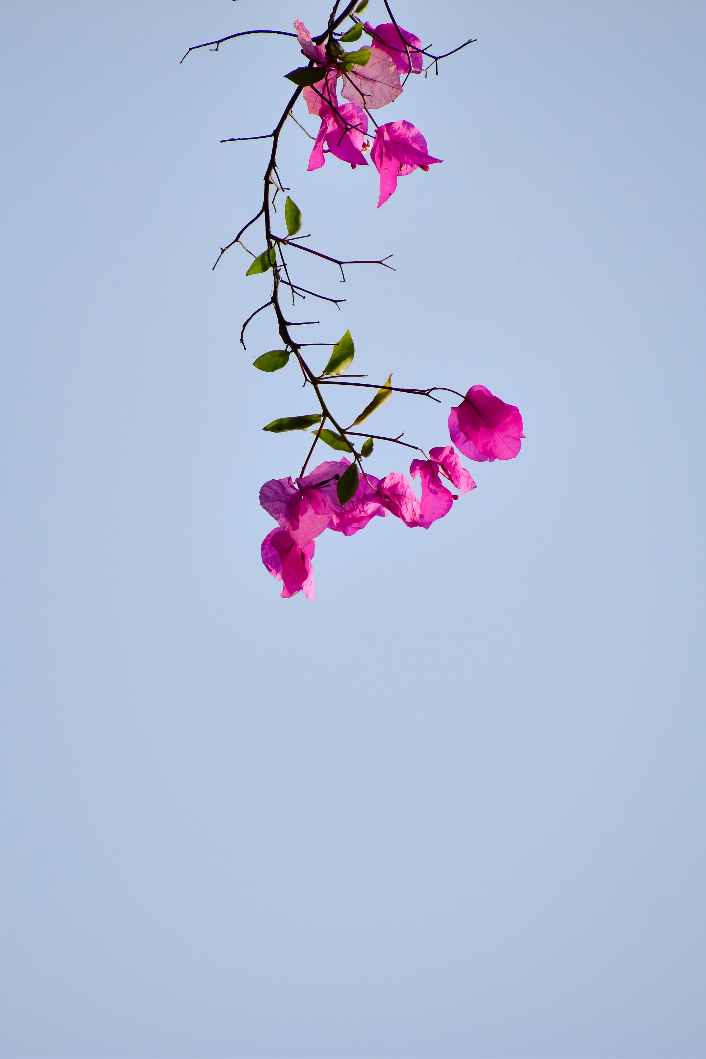 Photo by adventurelife24