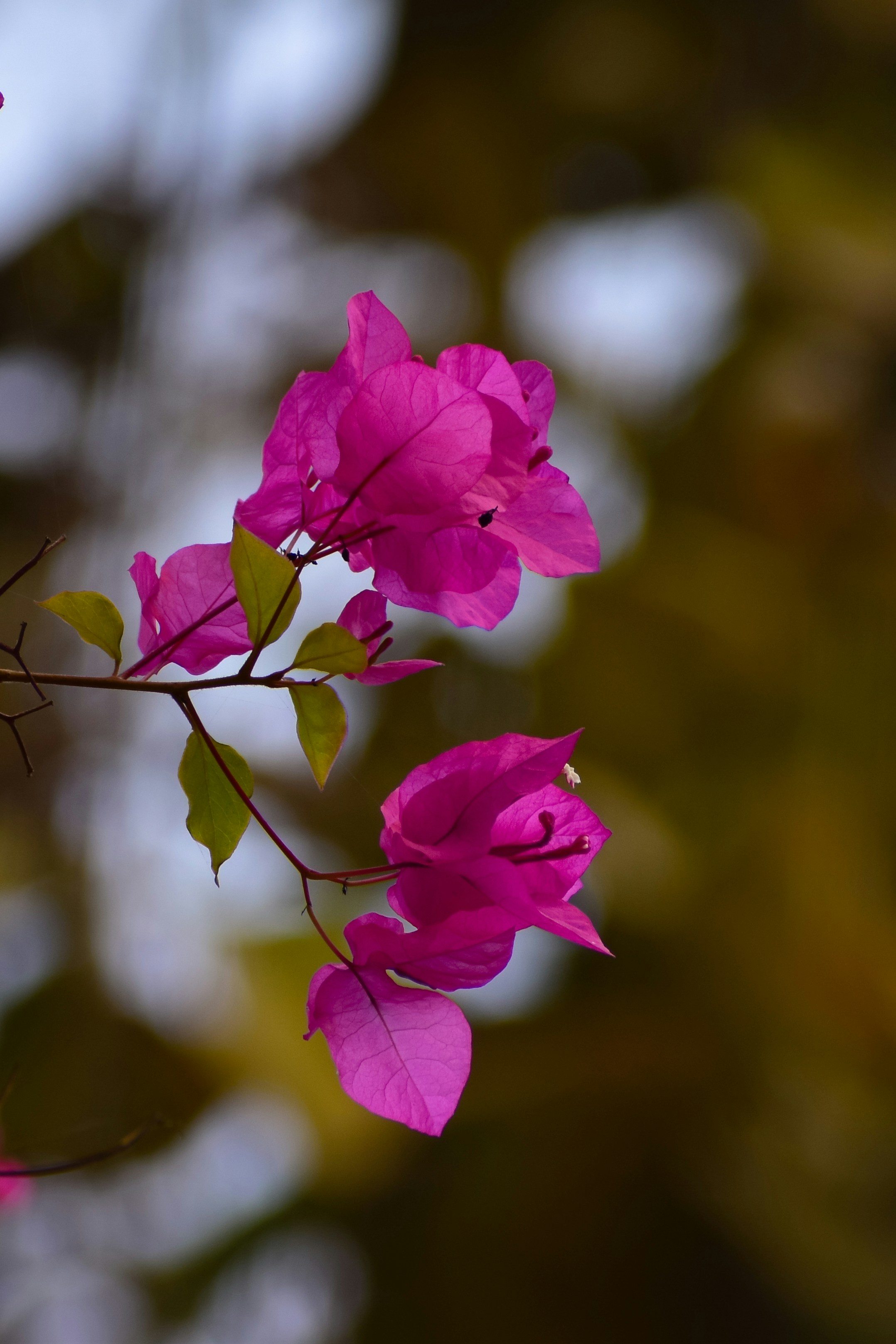 Photo by adventurelife24