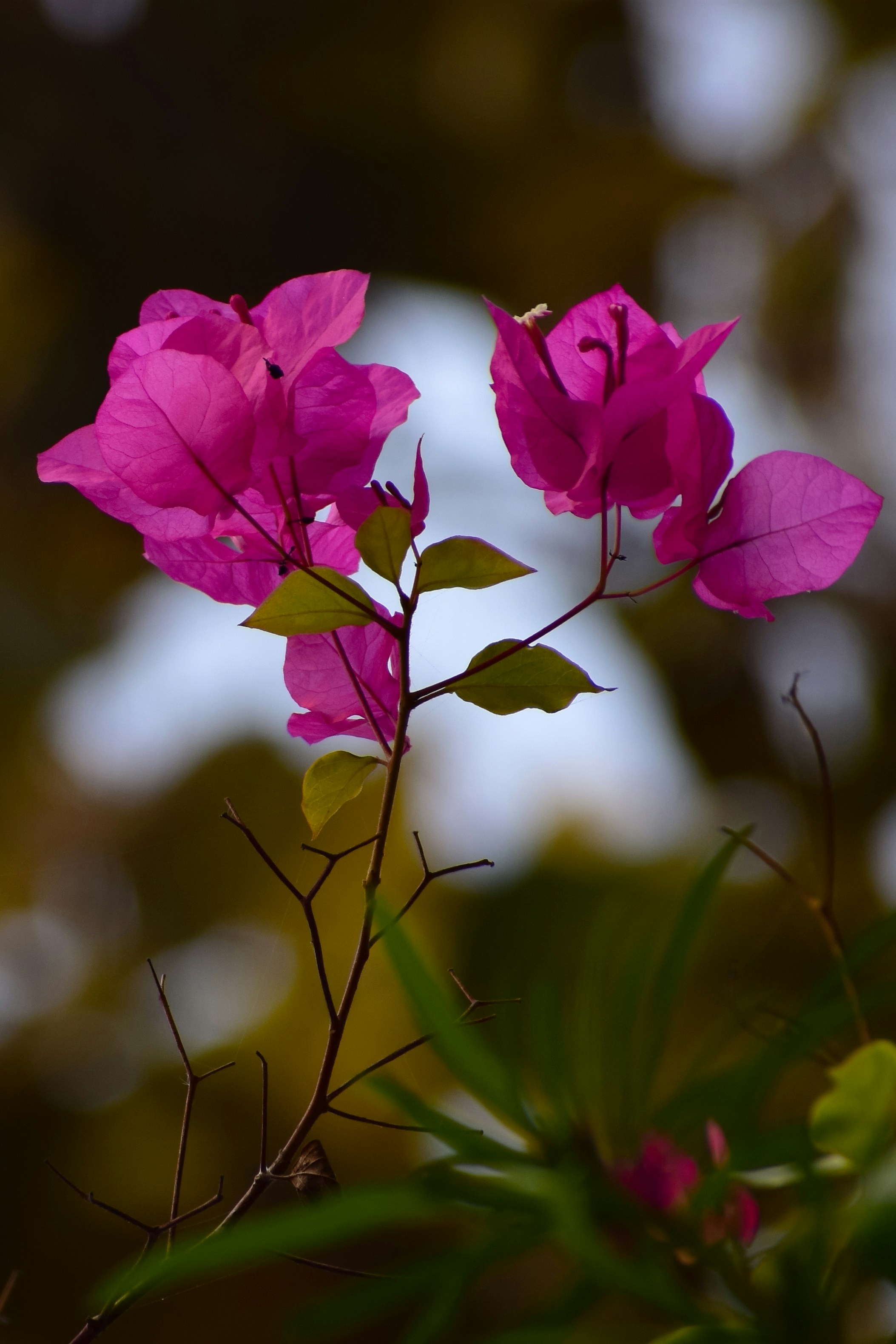 Photo by adventurelife24