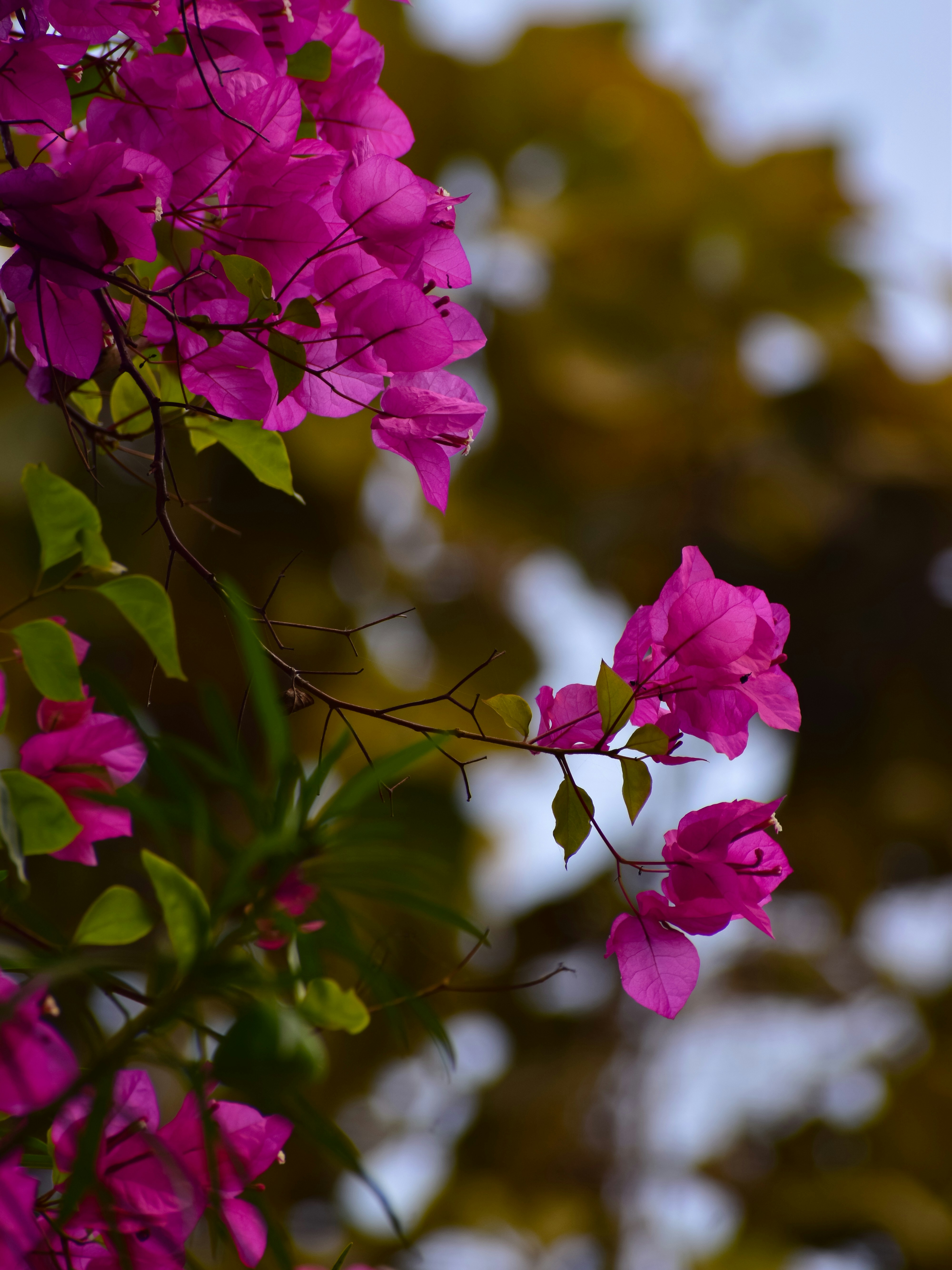 Photo by adventurelife24