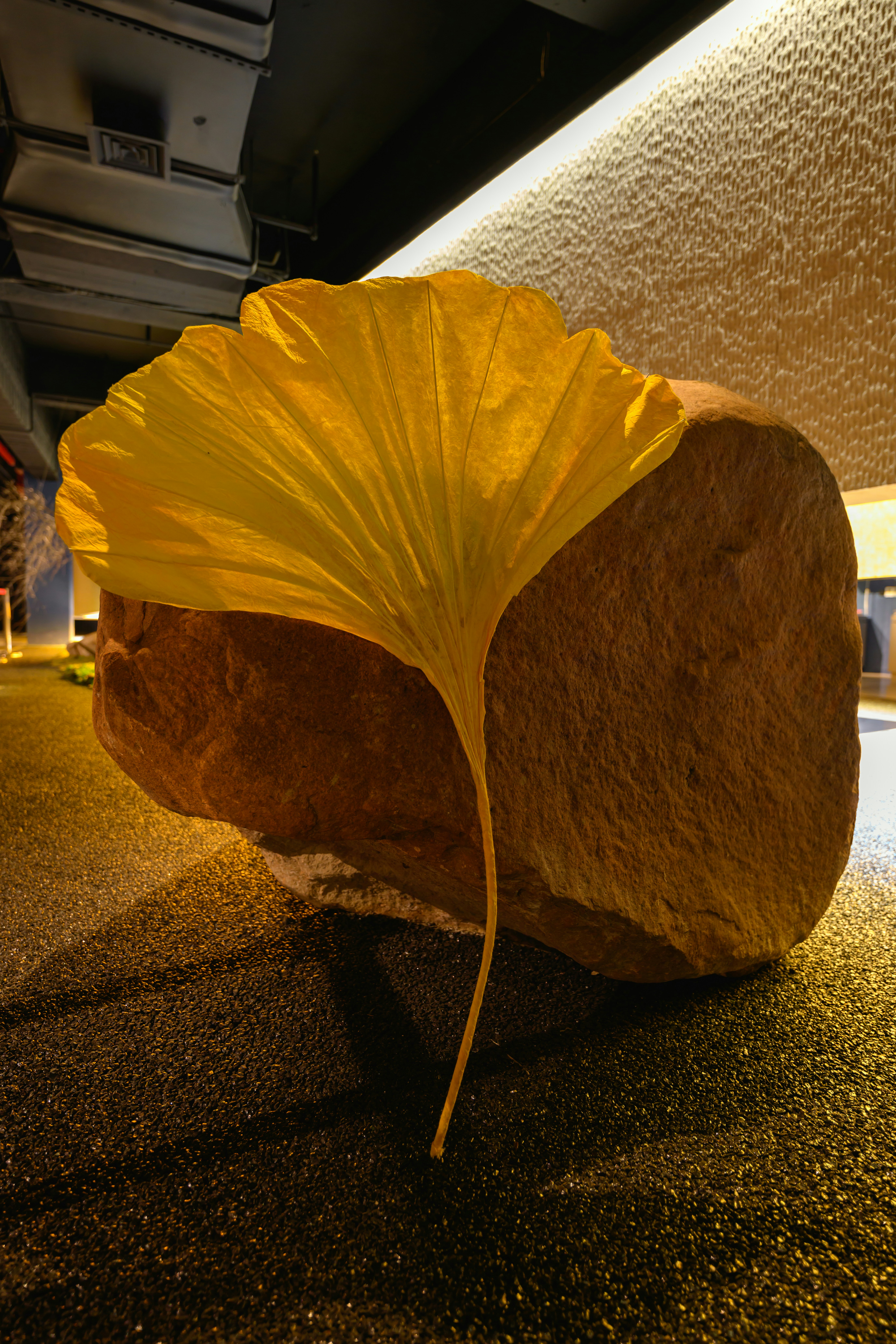 Ein großer Felsen mit einem gelben Blatt darauf