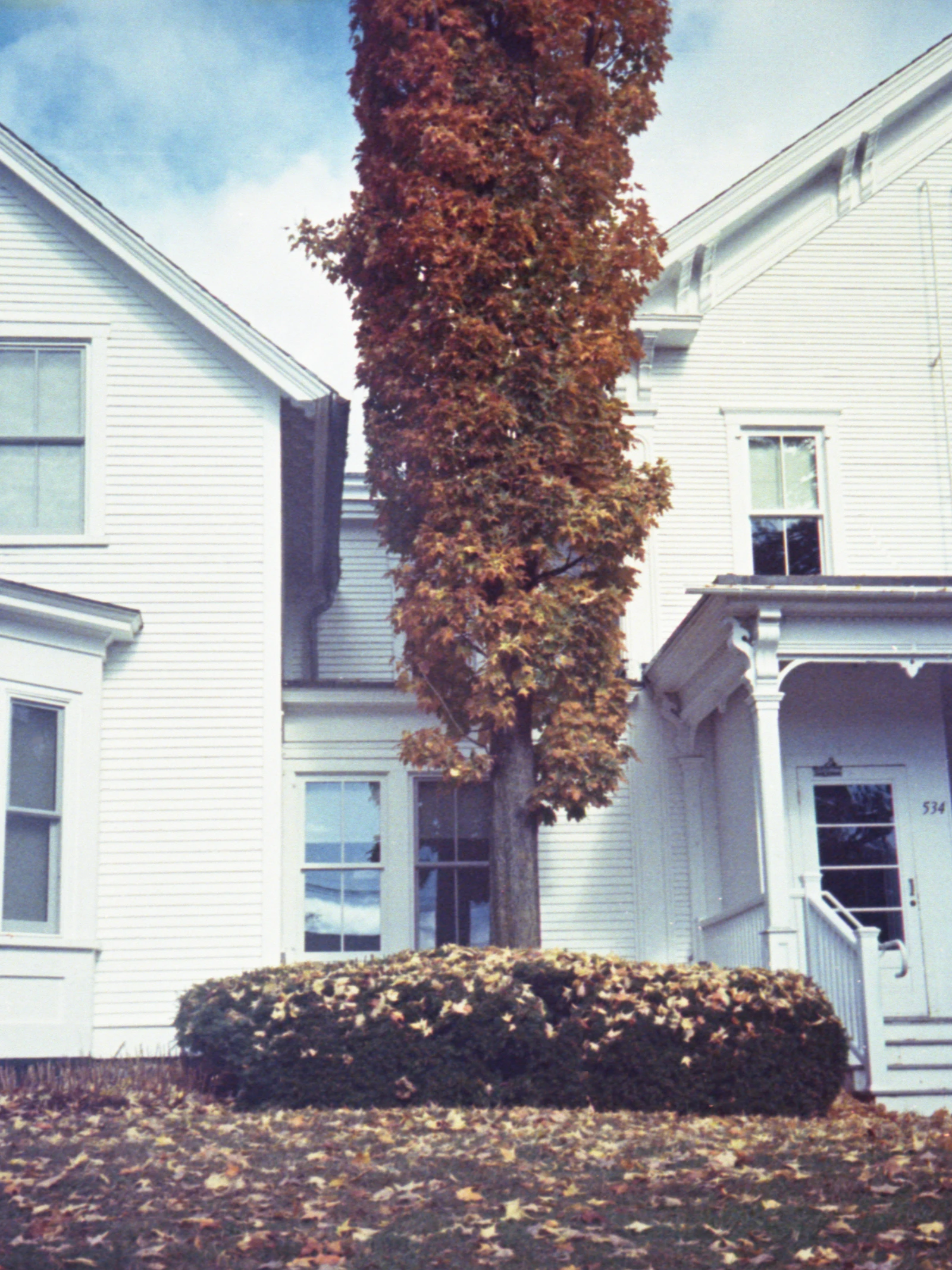 A white house with a large tree standing close to the roofline