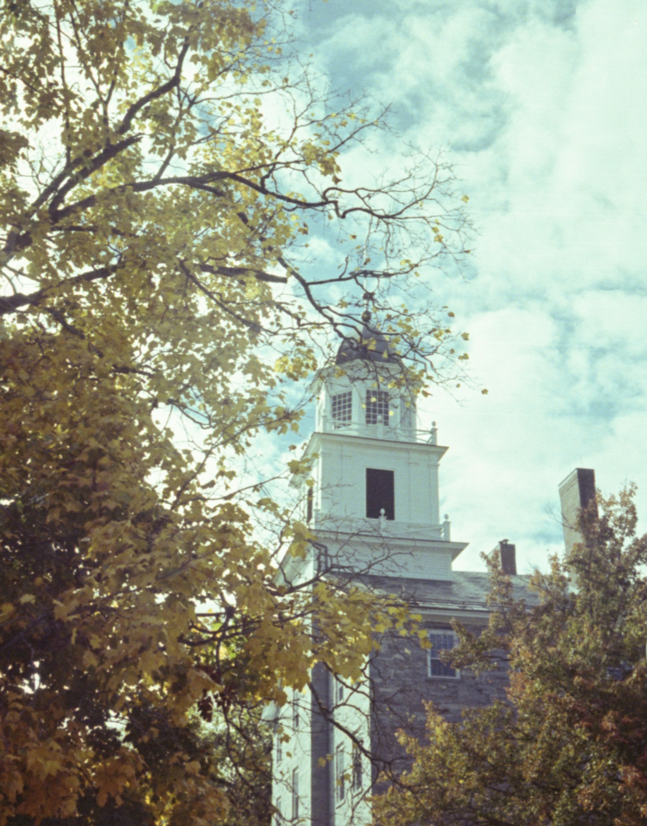 Ein hoher Uhrenturm, der über einem üppigen grünen Wald thront