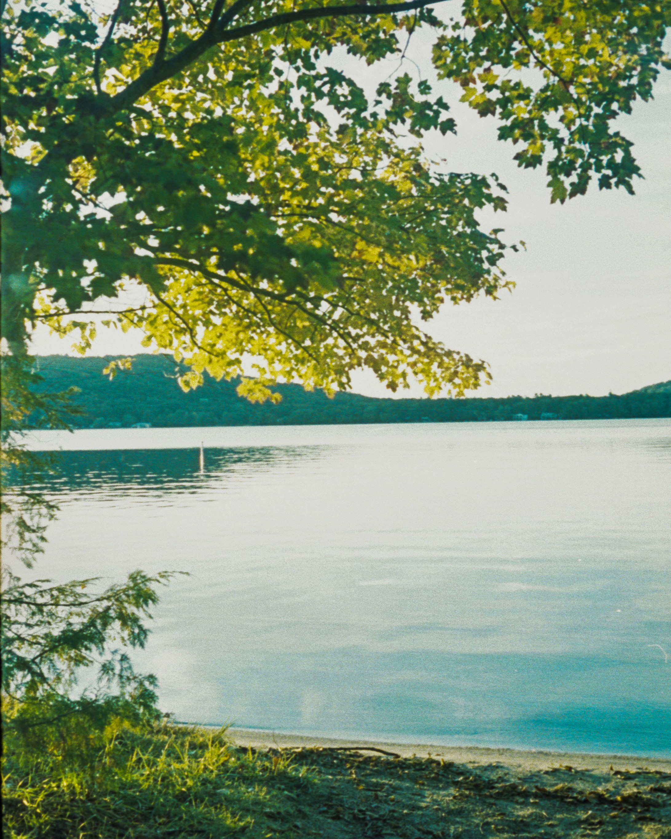 Photo by austin_7792