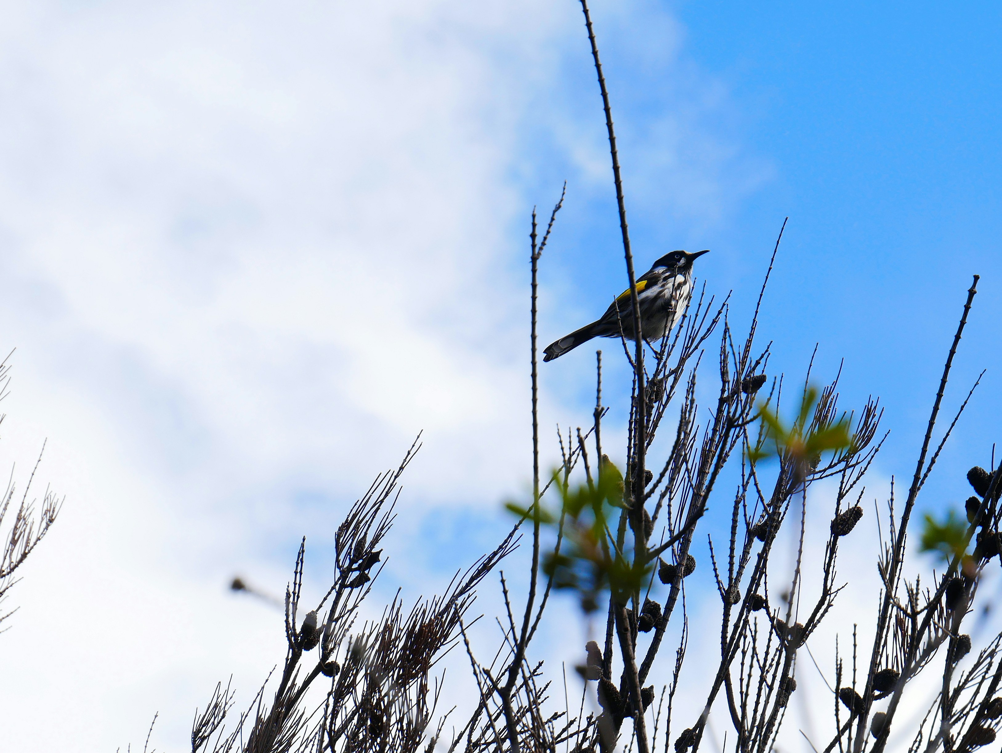 Photo by divineproductionsfilms