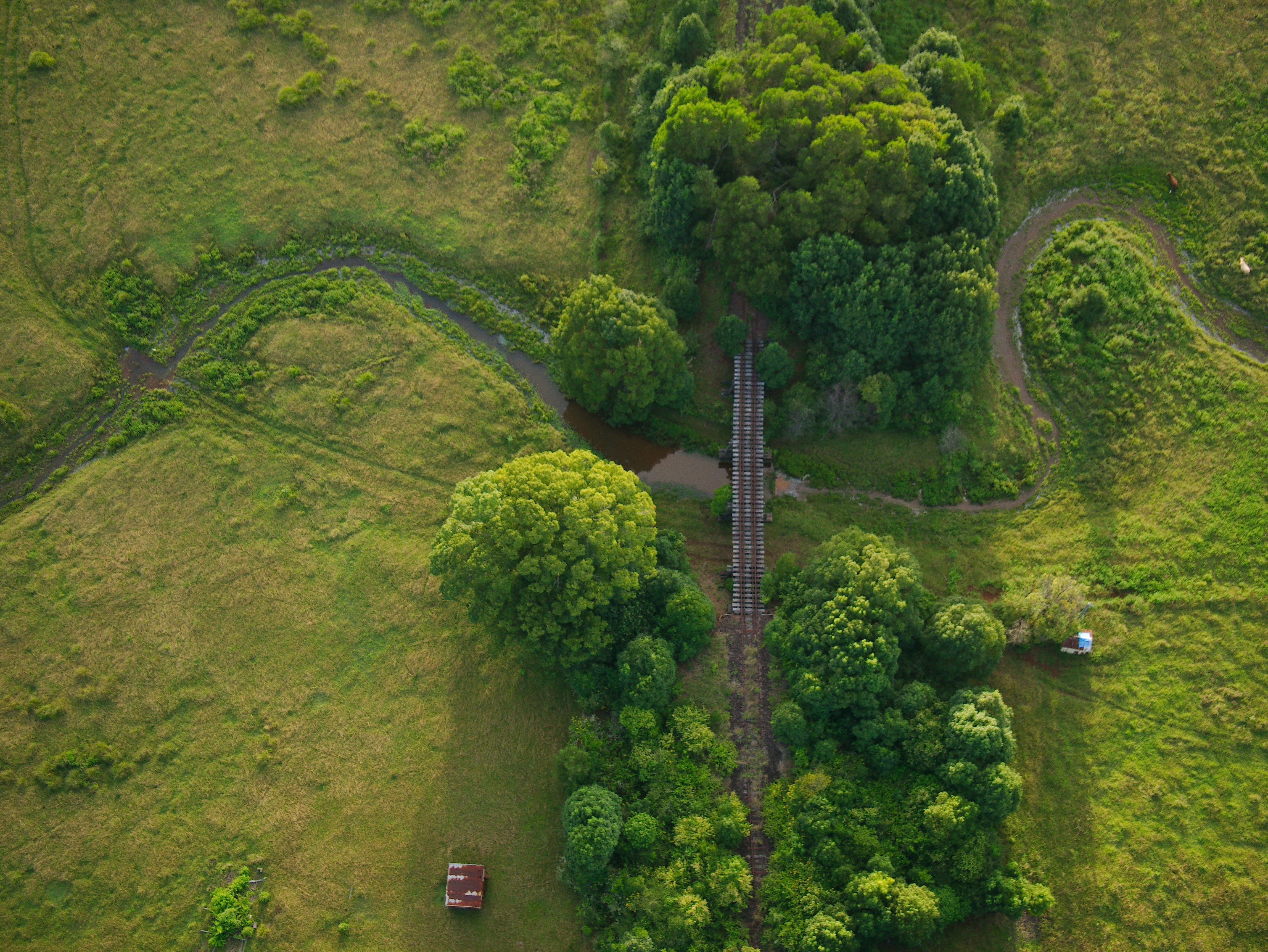 Photo by divineproductionsfilms