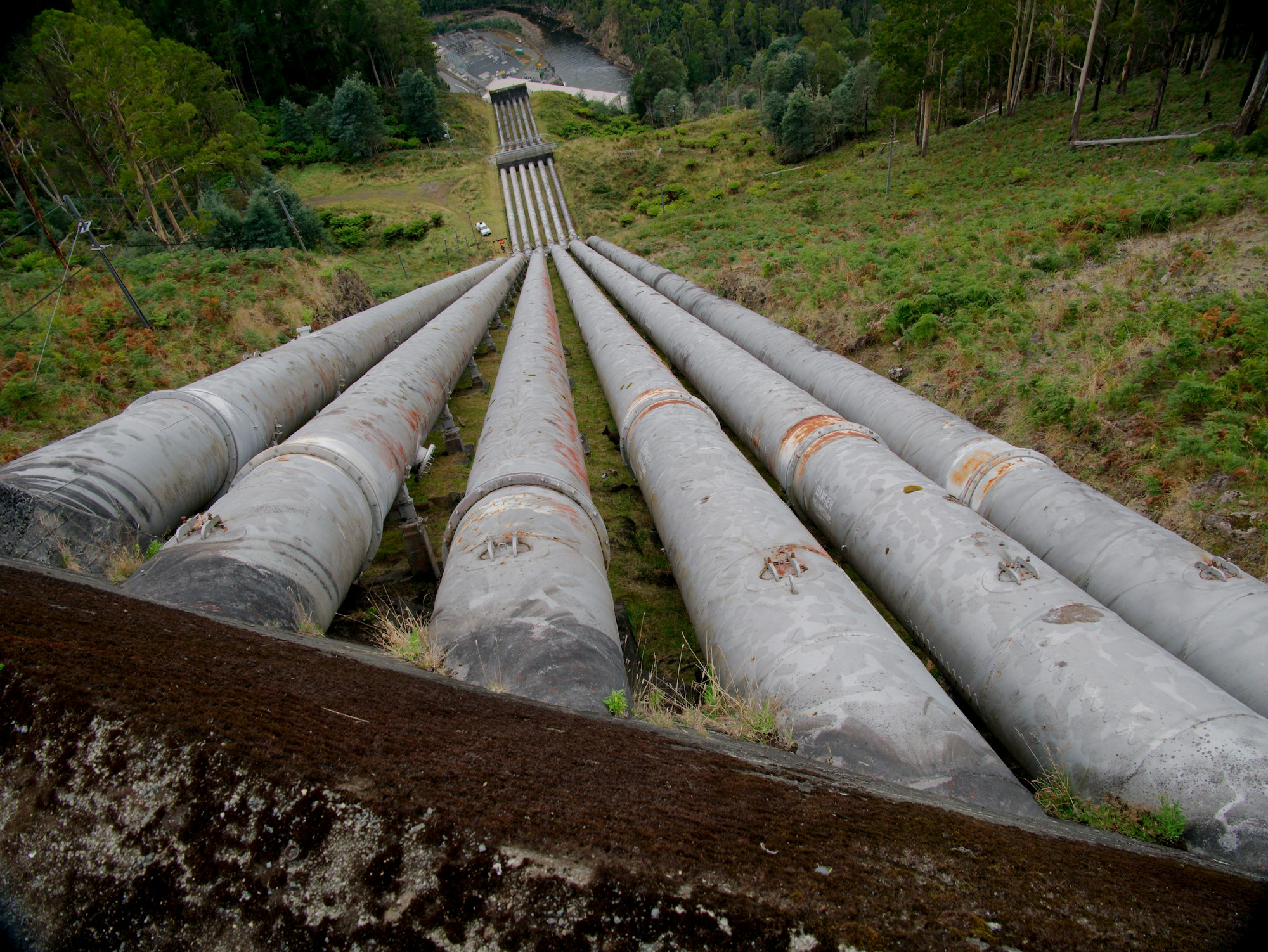 A bunch of pipes that are in the grass