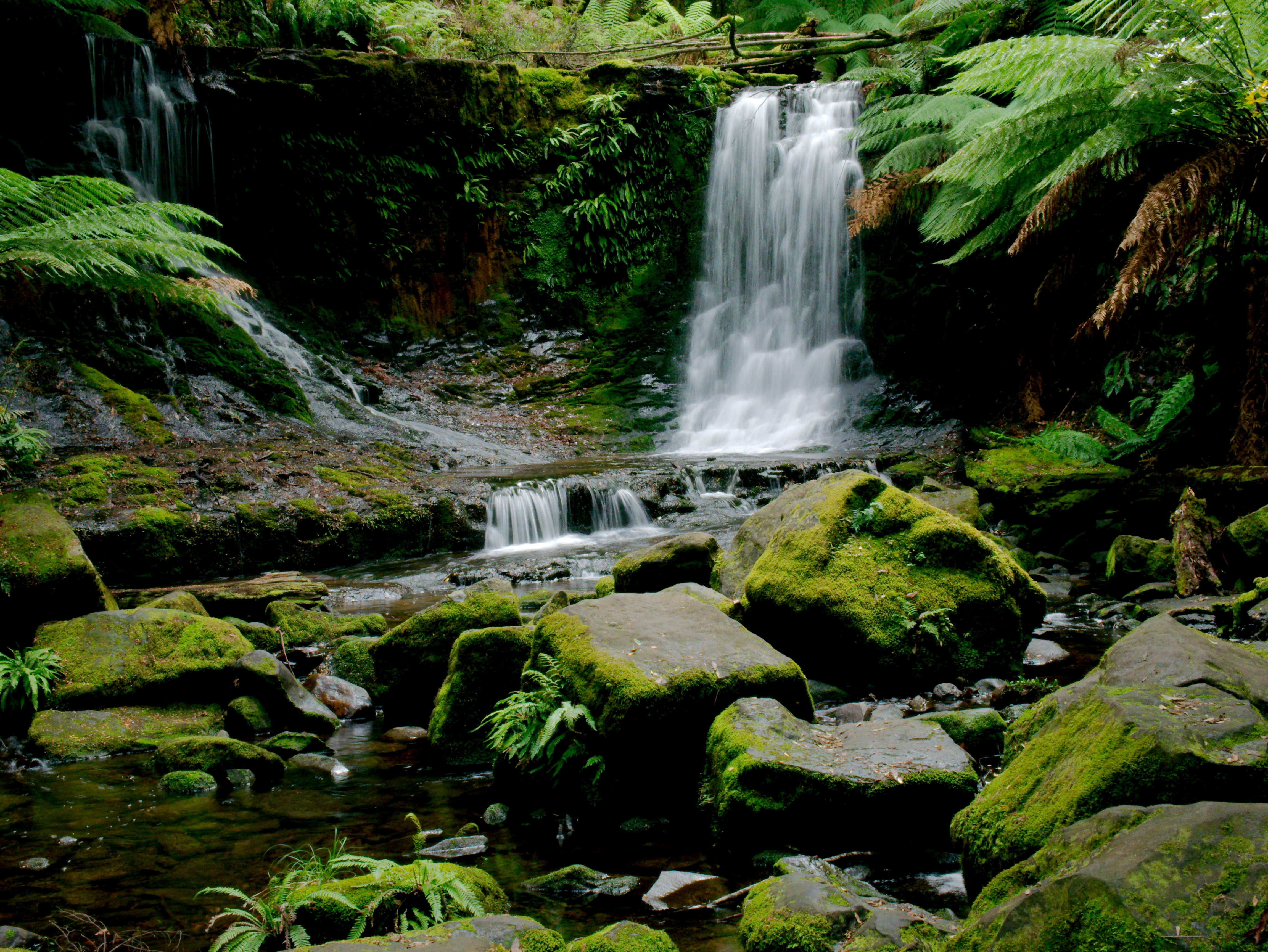 Photo by divineproductionsfilms