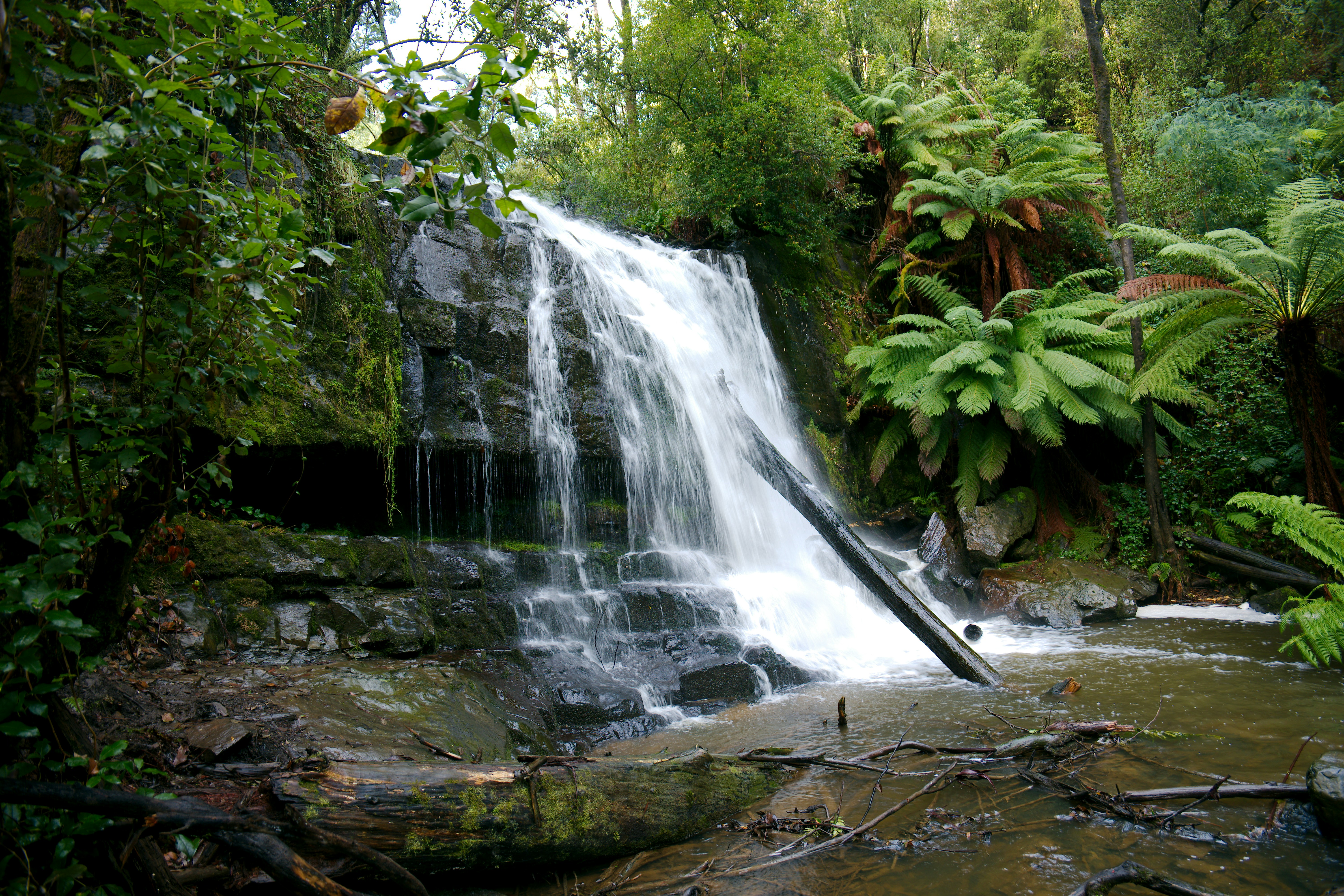 Photo by divineproductionsfilms