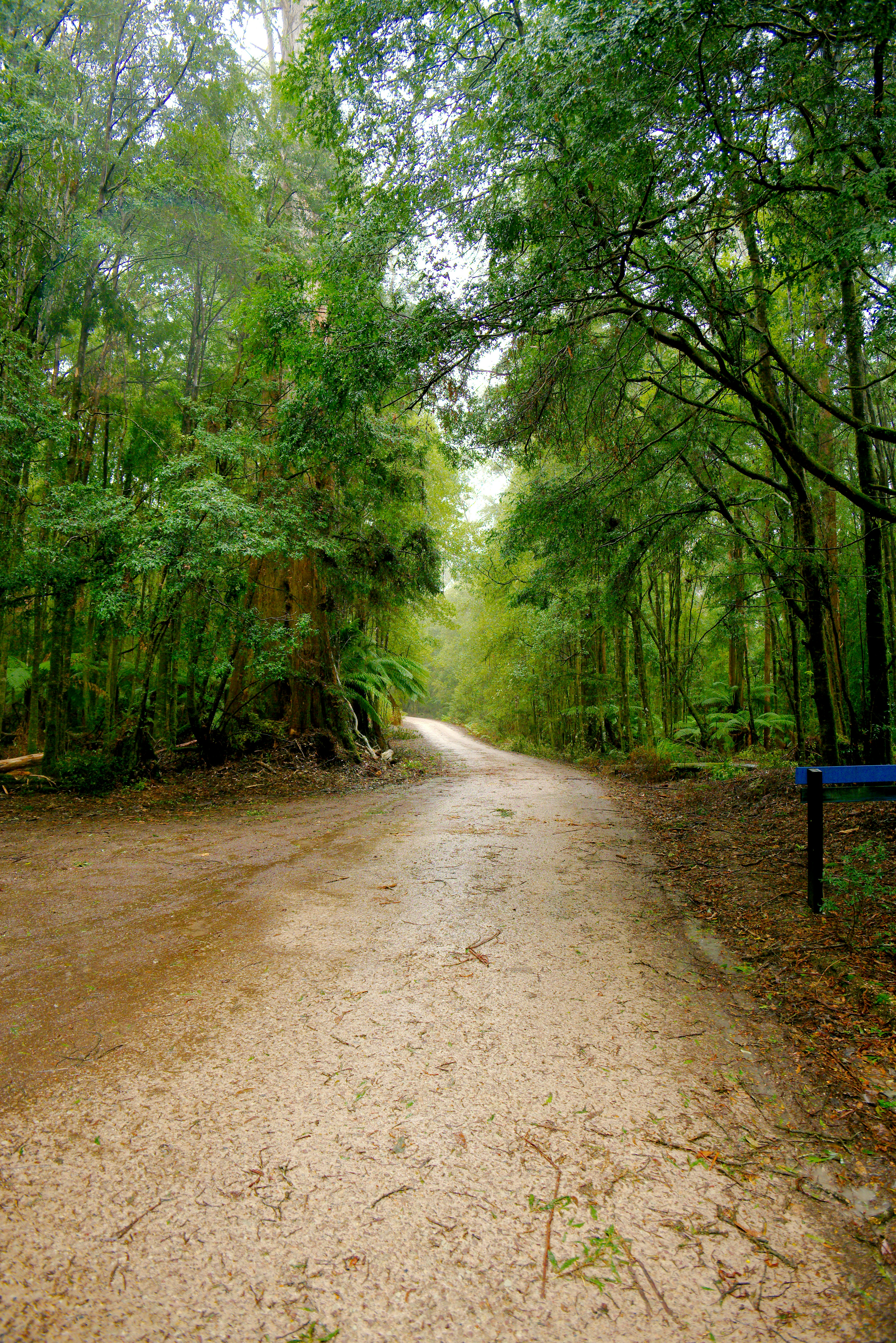 Photo by divineproductionsfilms