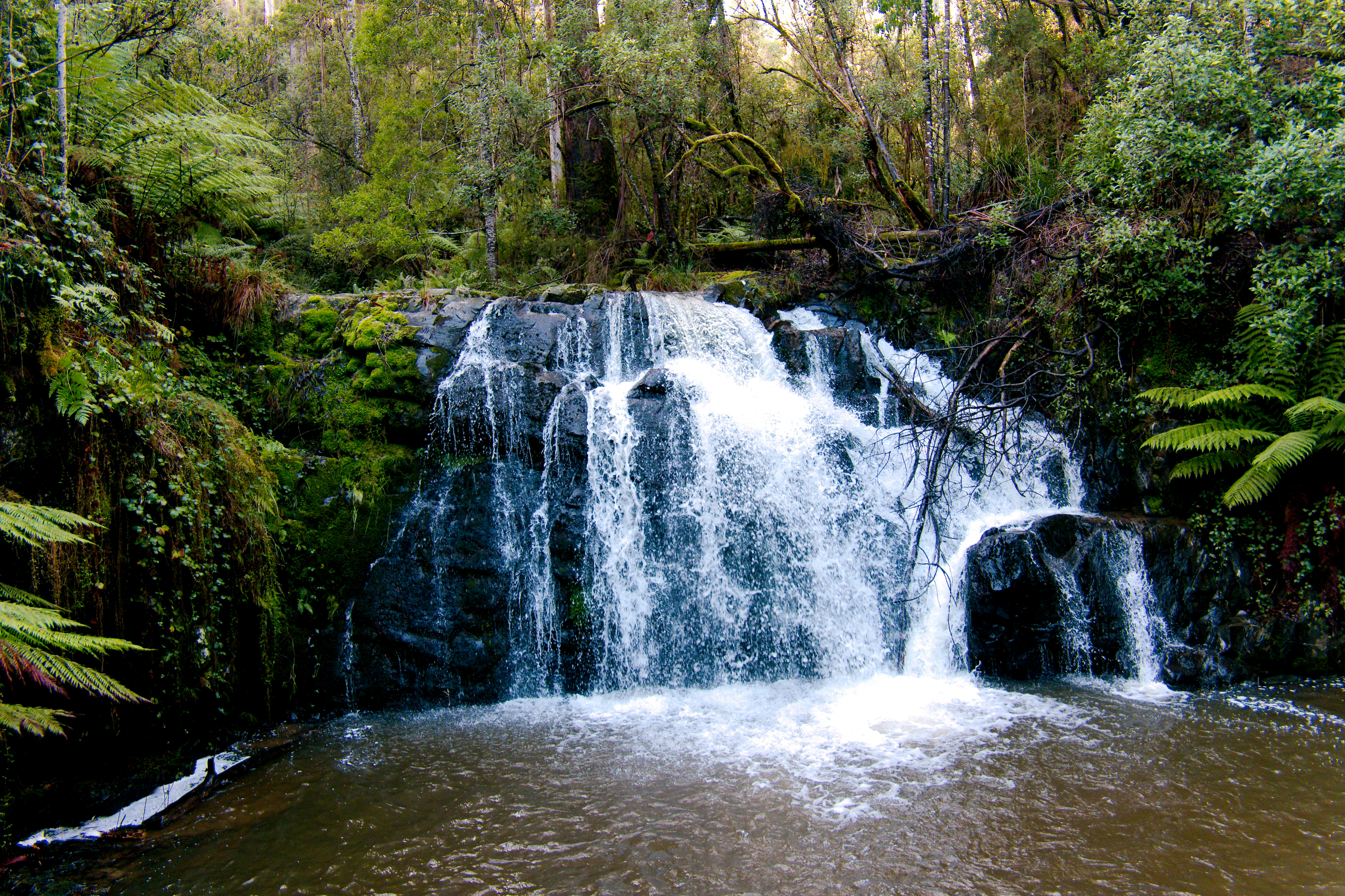 Photo by divineproductionsfilms