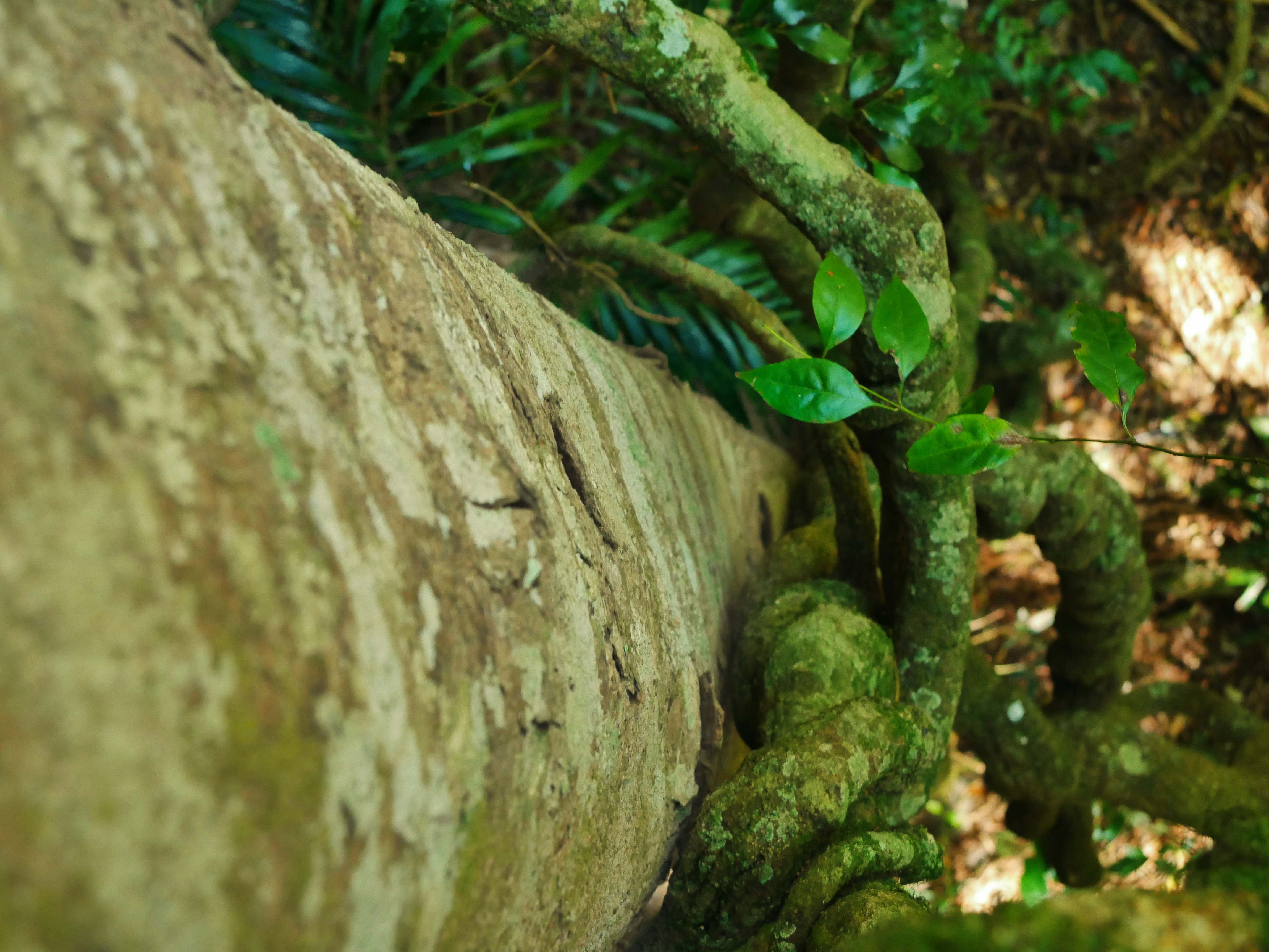 Photo by divineproductionsfilms