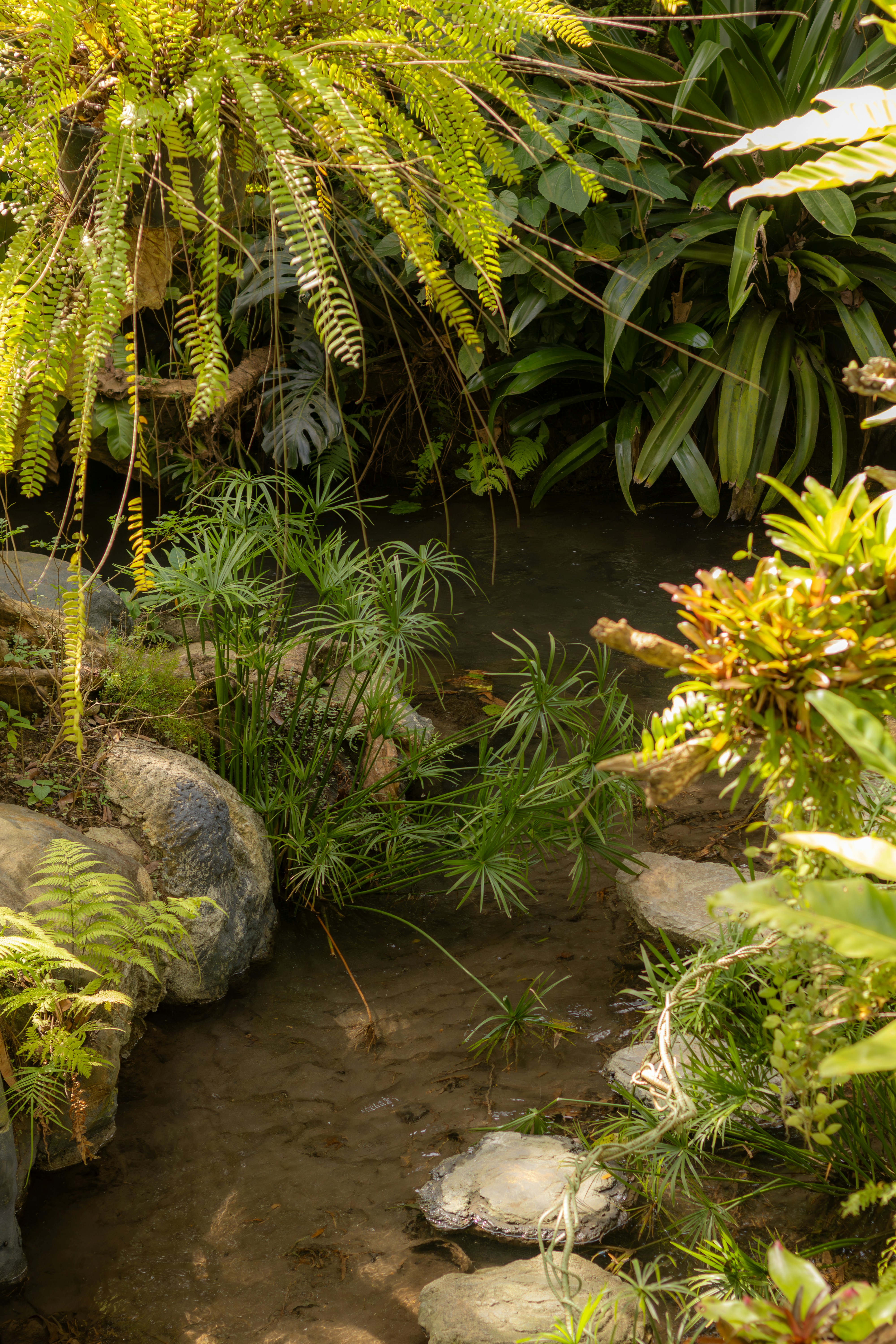 Photo by bridgetadolfo