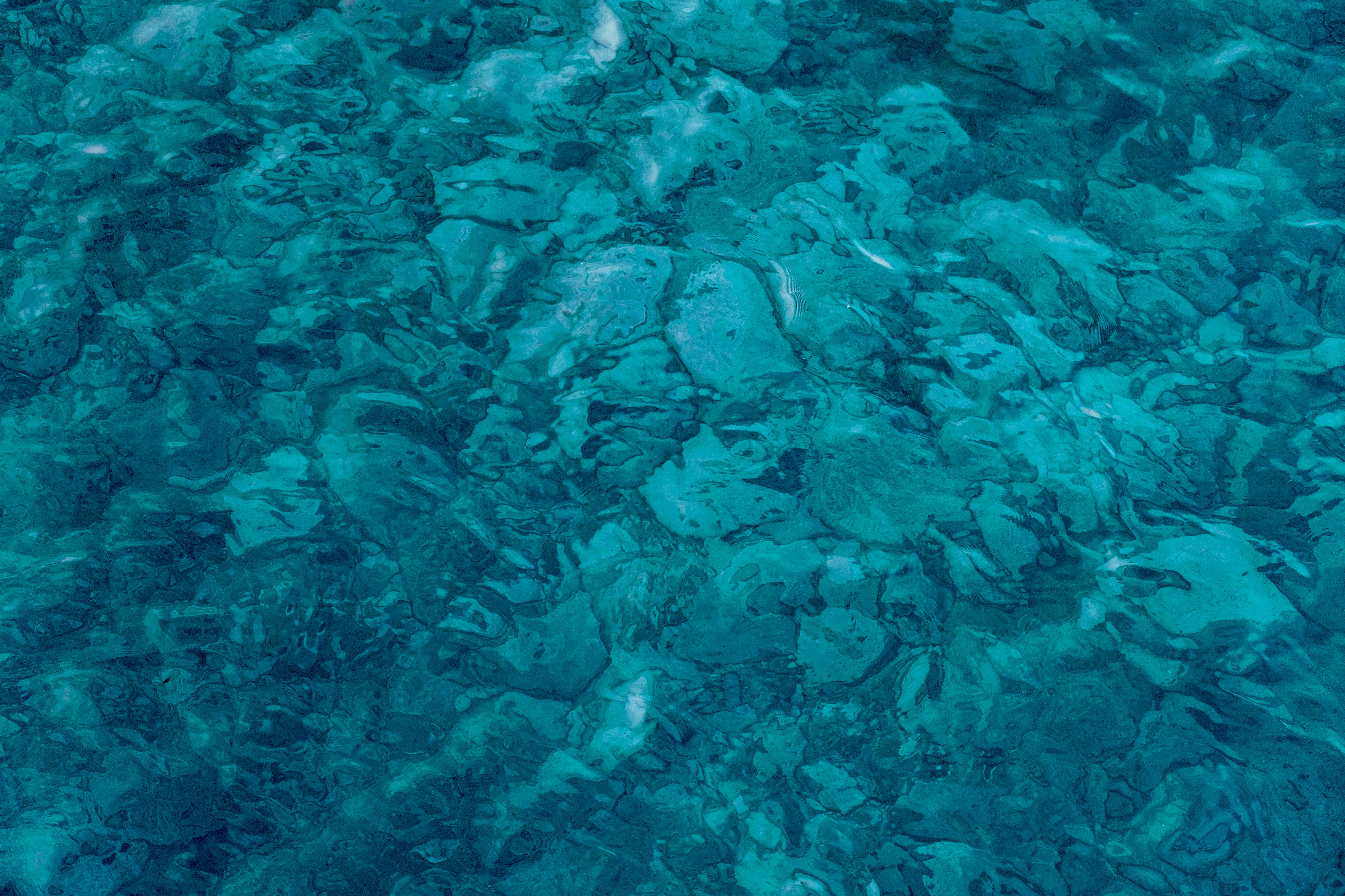 Photo by lifeinkorea