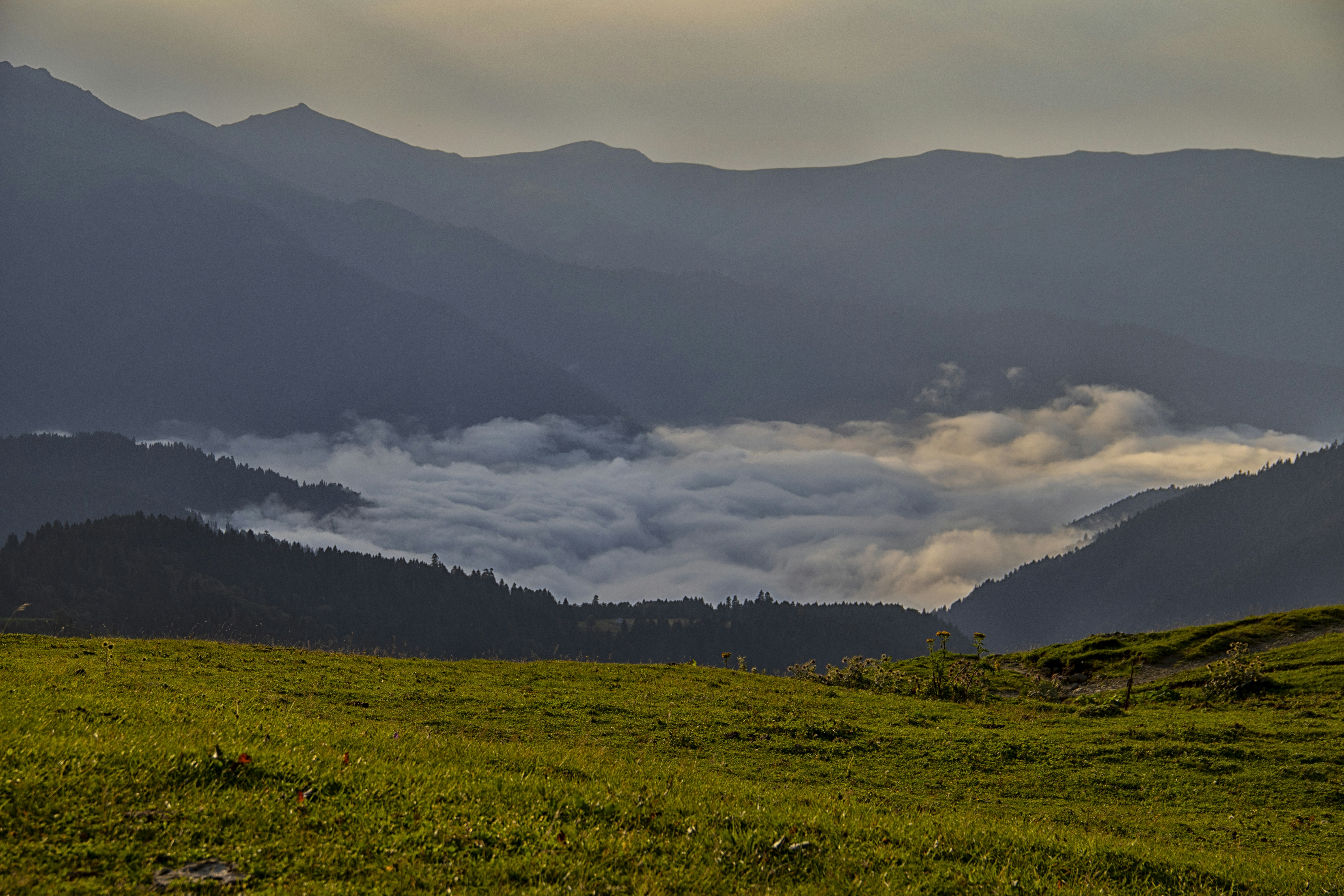 Photo by alexanderkez