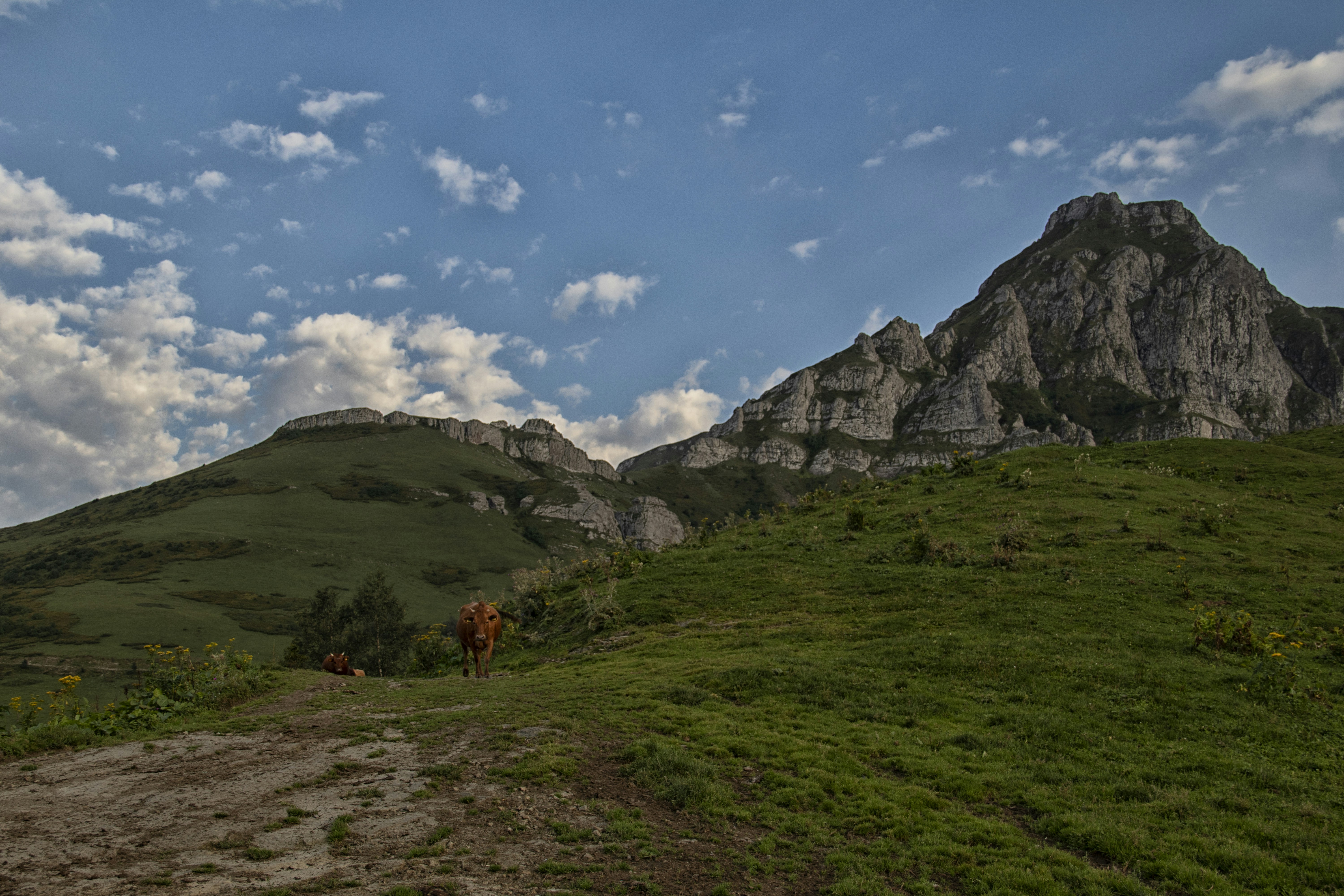 A couple of people walking up a grassy hill, Zekari Pass is a scenic mountain pass in Georgia, offering breathtaking views of valleys, peaks, and alpine meadows. Perfect for nature lovers and adventurers.