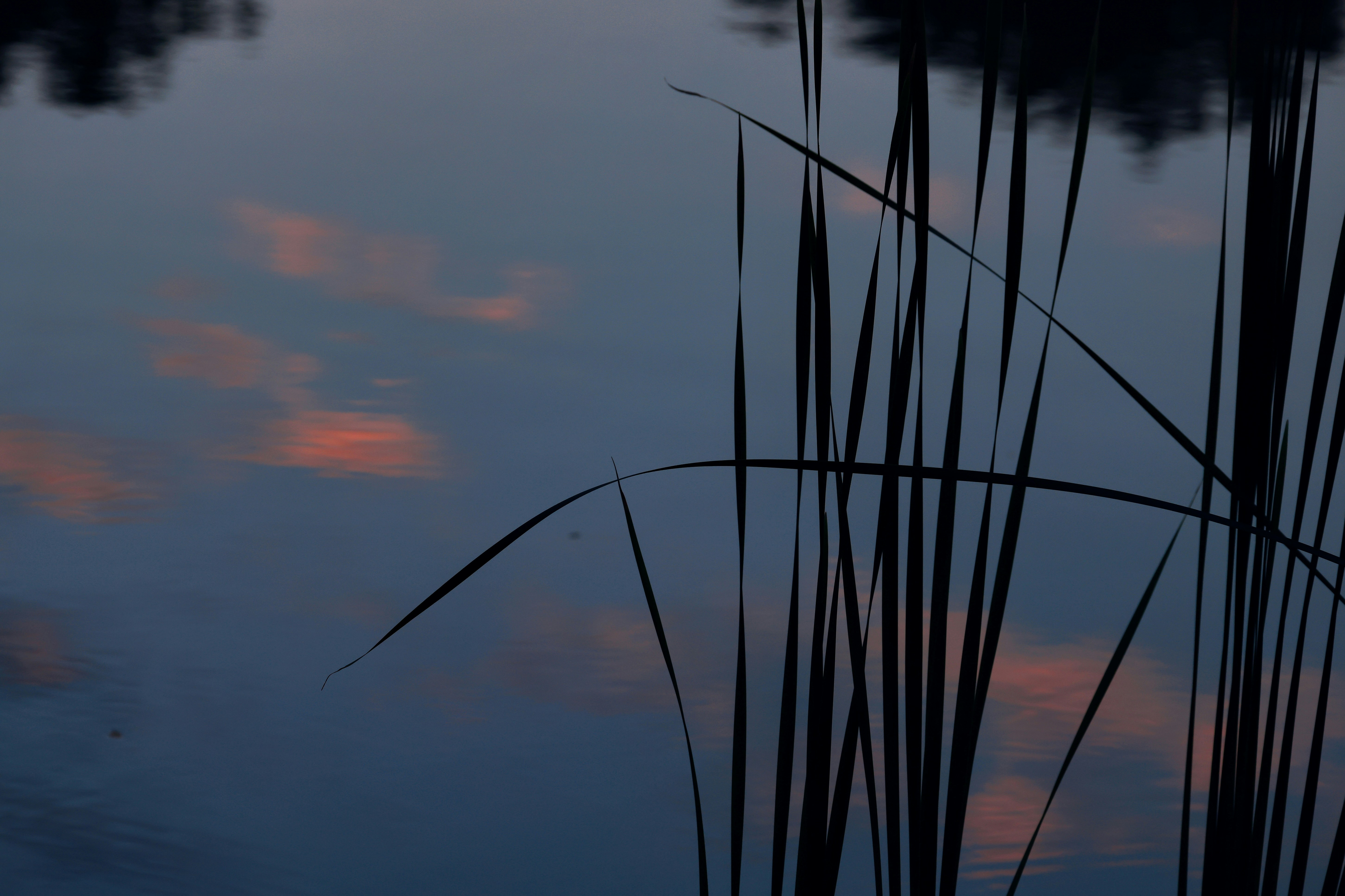 Photo by dickenslin76