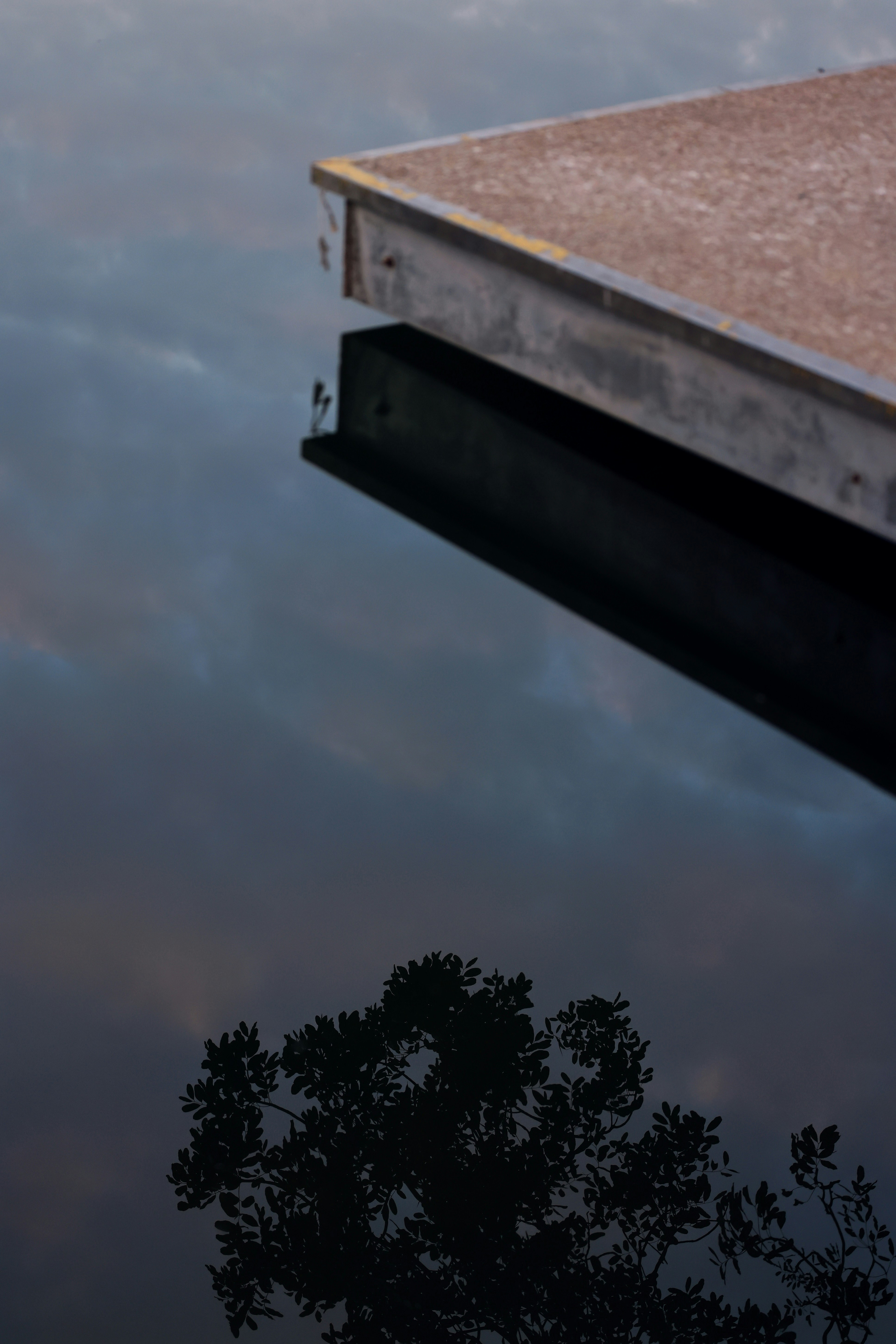 Photo by dickenslin76