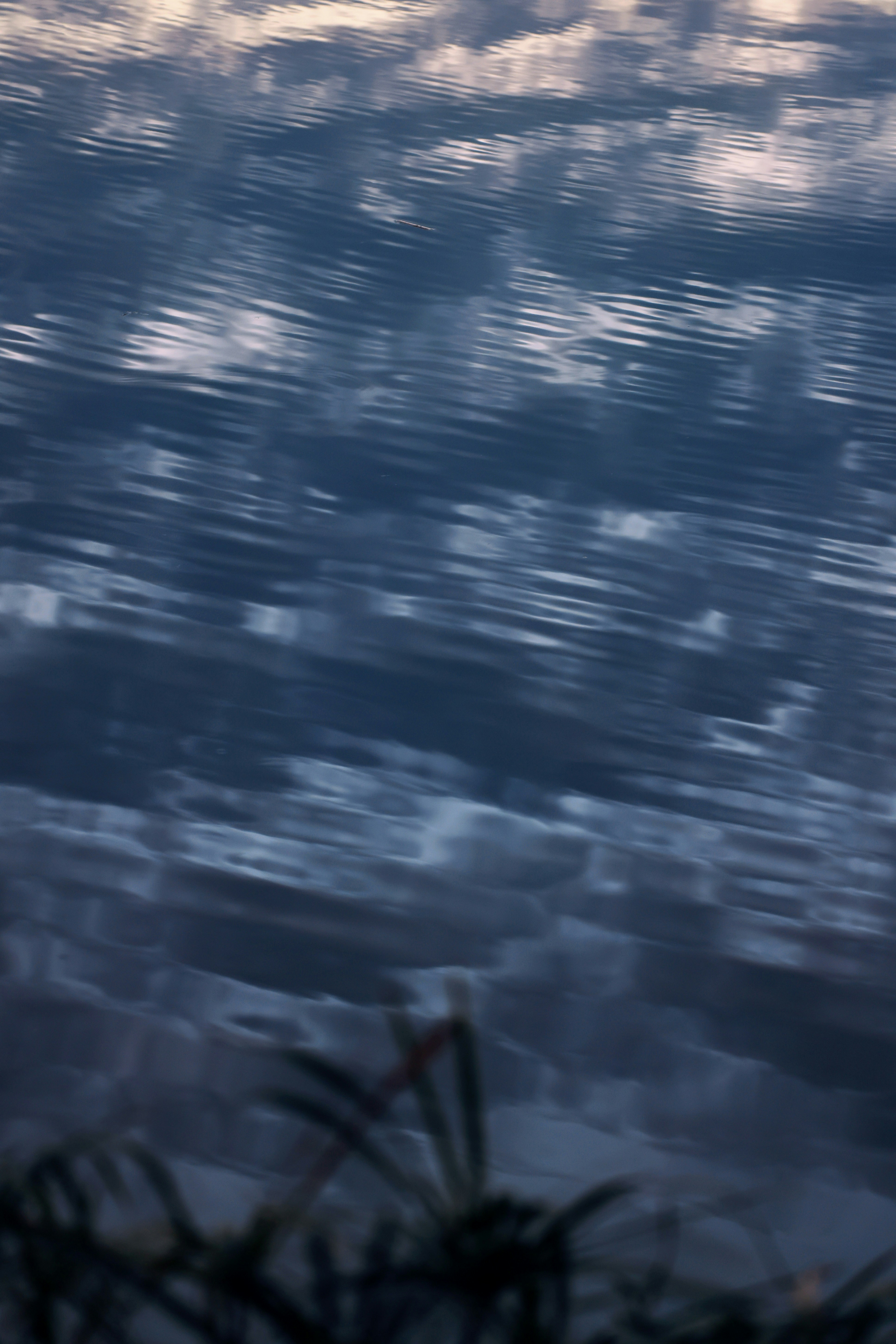 Photo by dickenslin76