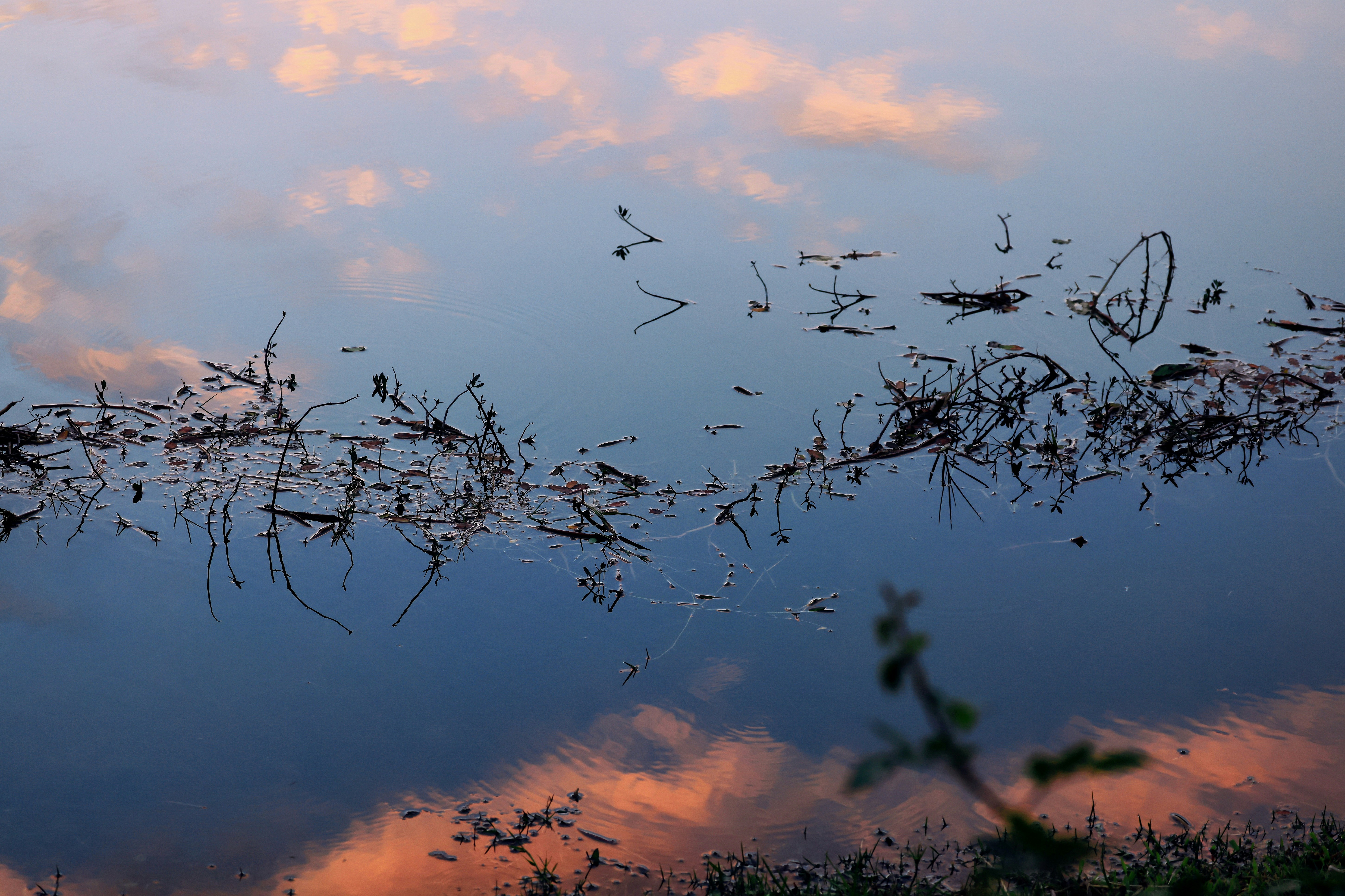 Photo by dickenslin76