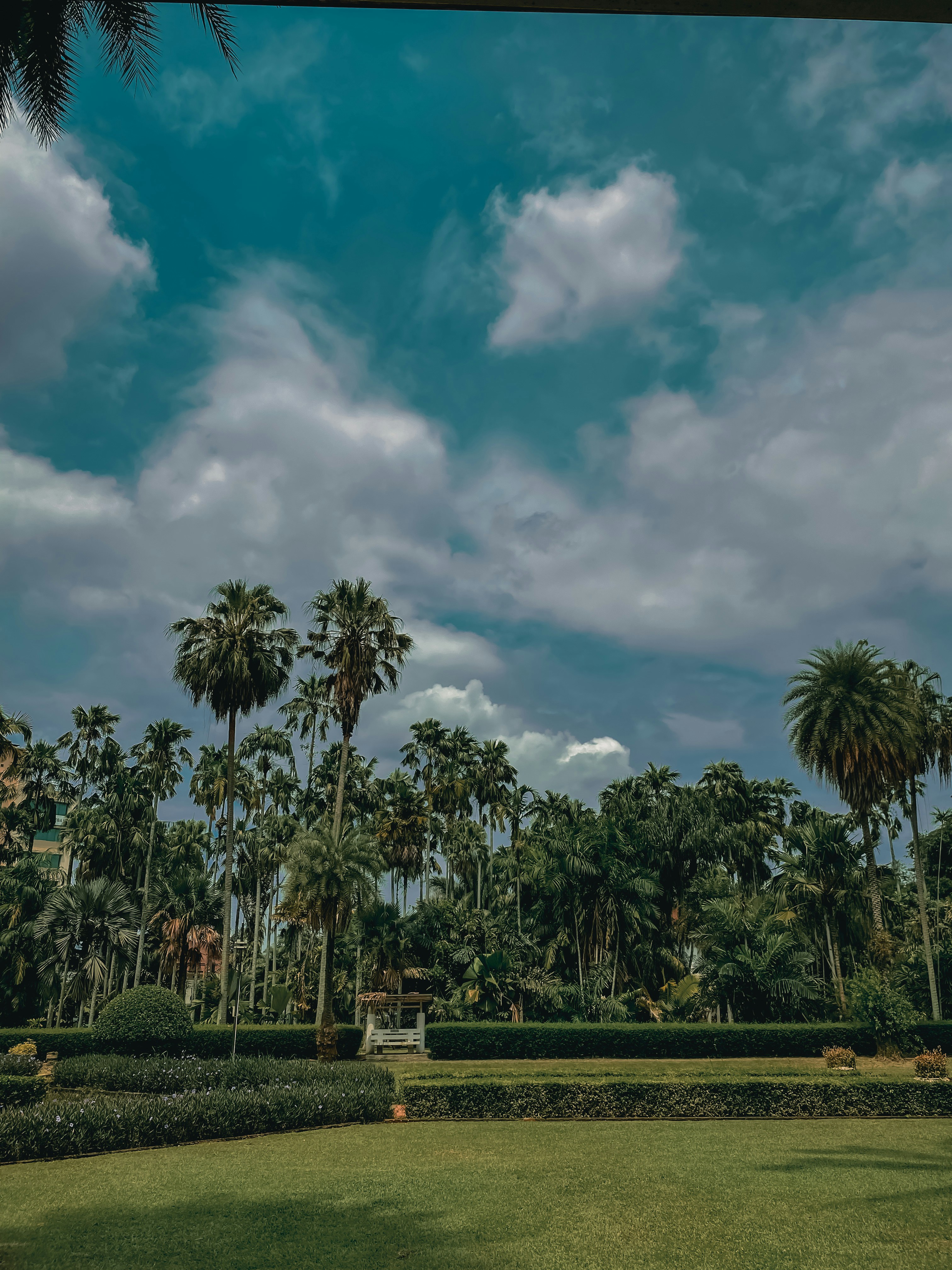 Photo by adityamandala