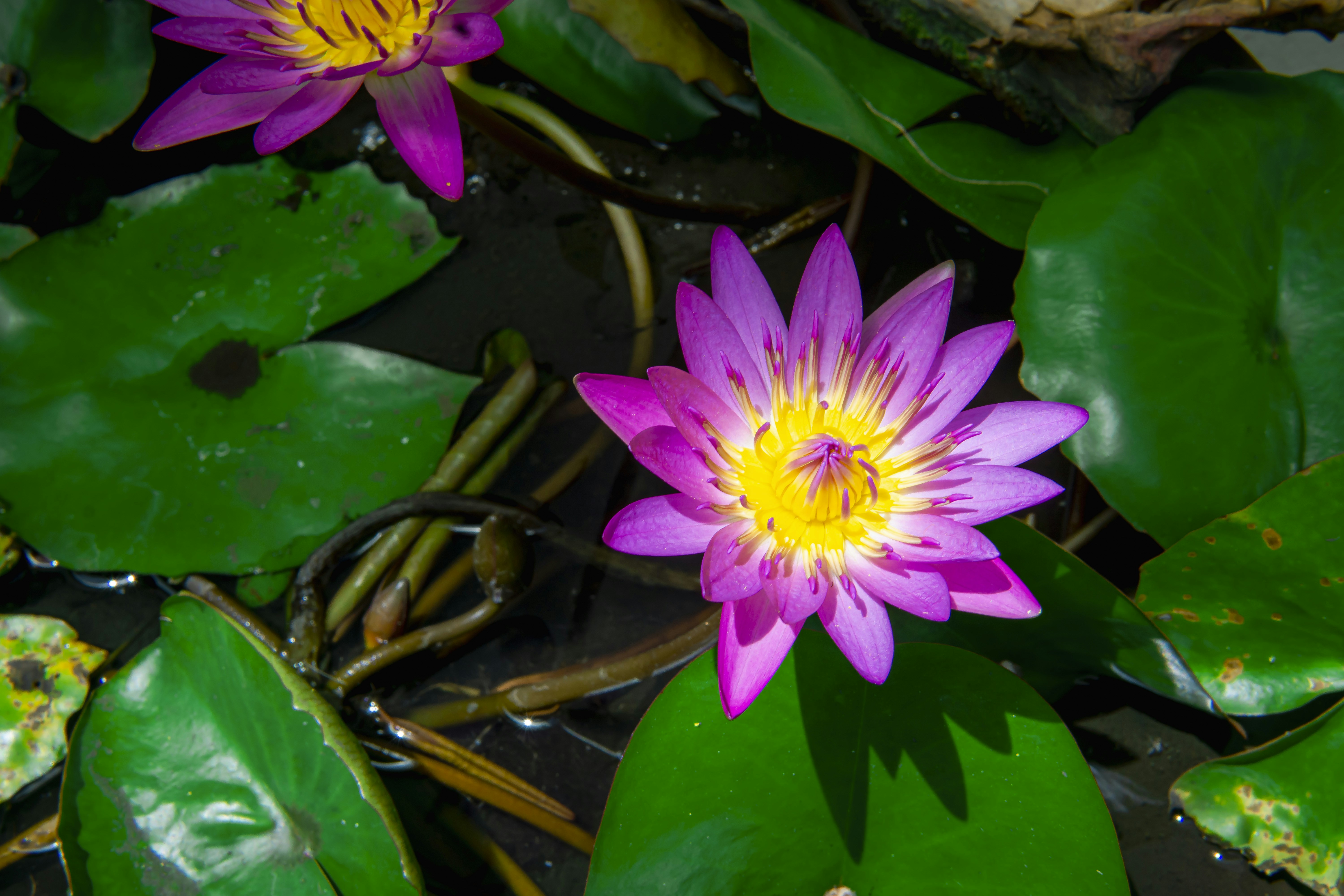 Photo by jejakpotret