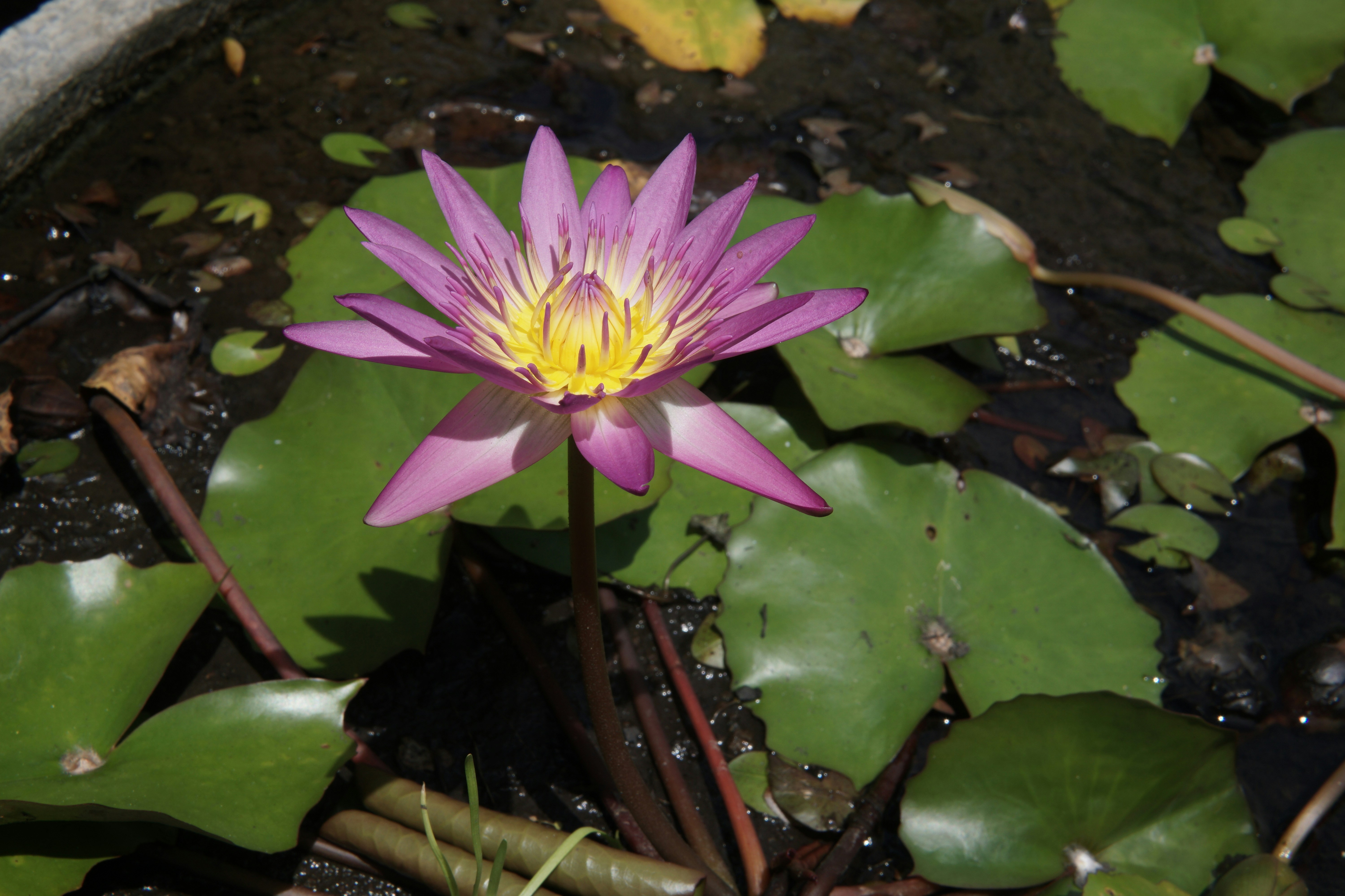 Photo by jejakpotret