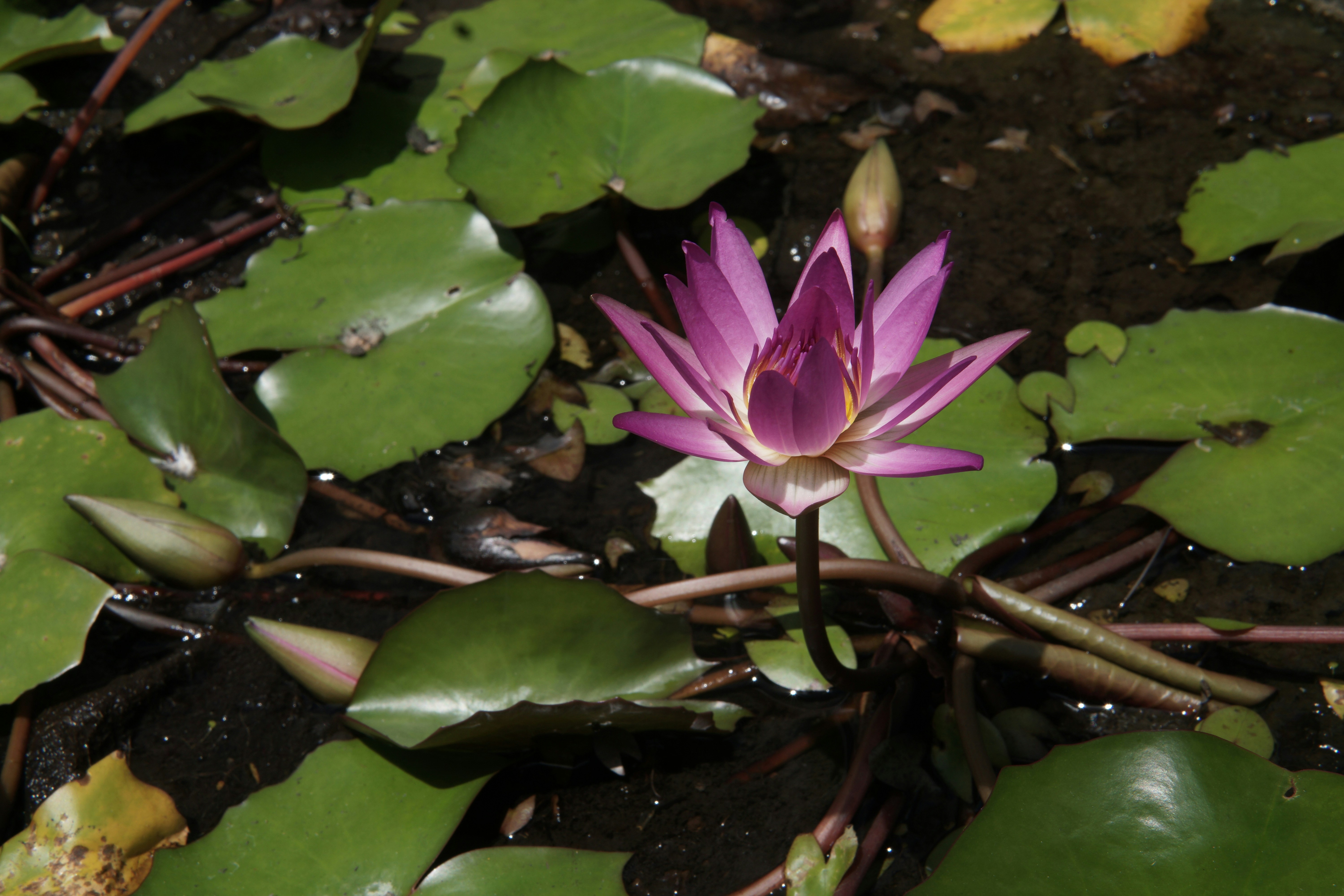 Photo by jejakpotret