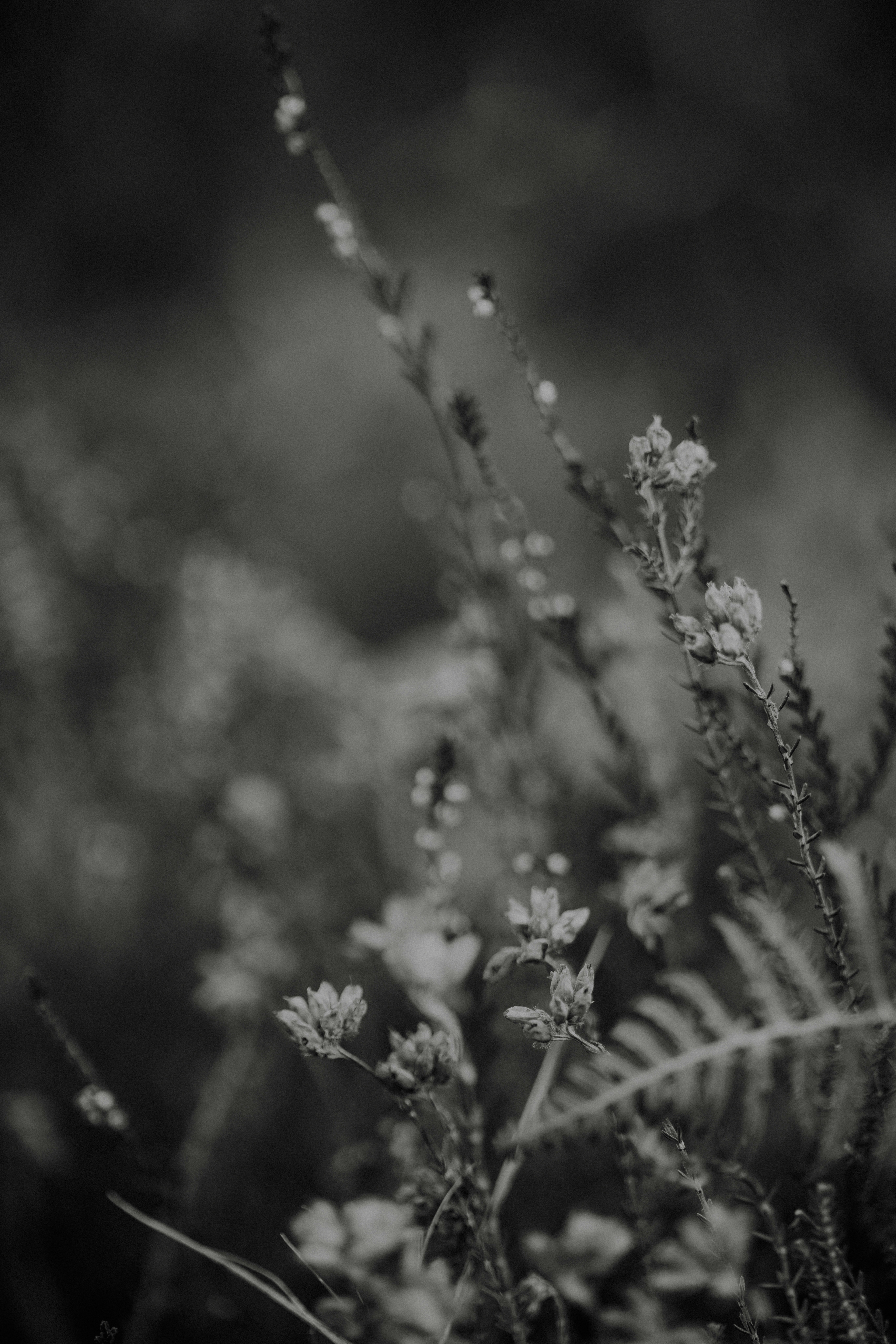 Photo by anniespratt