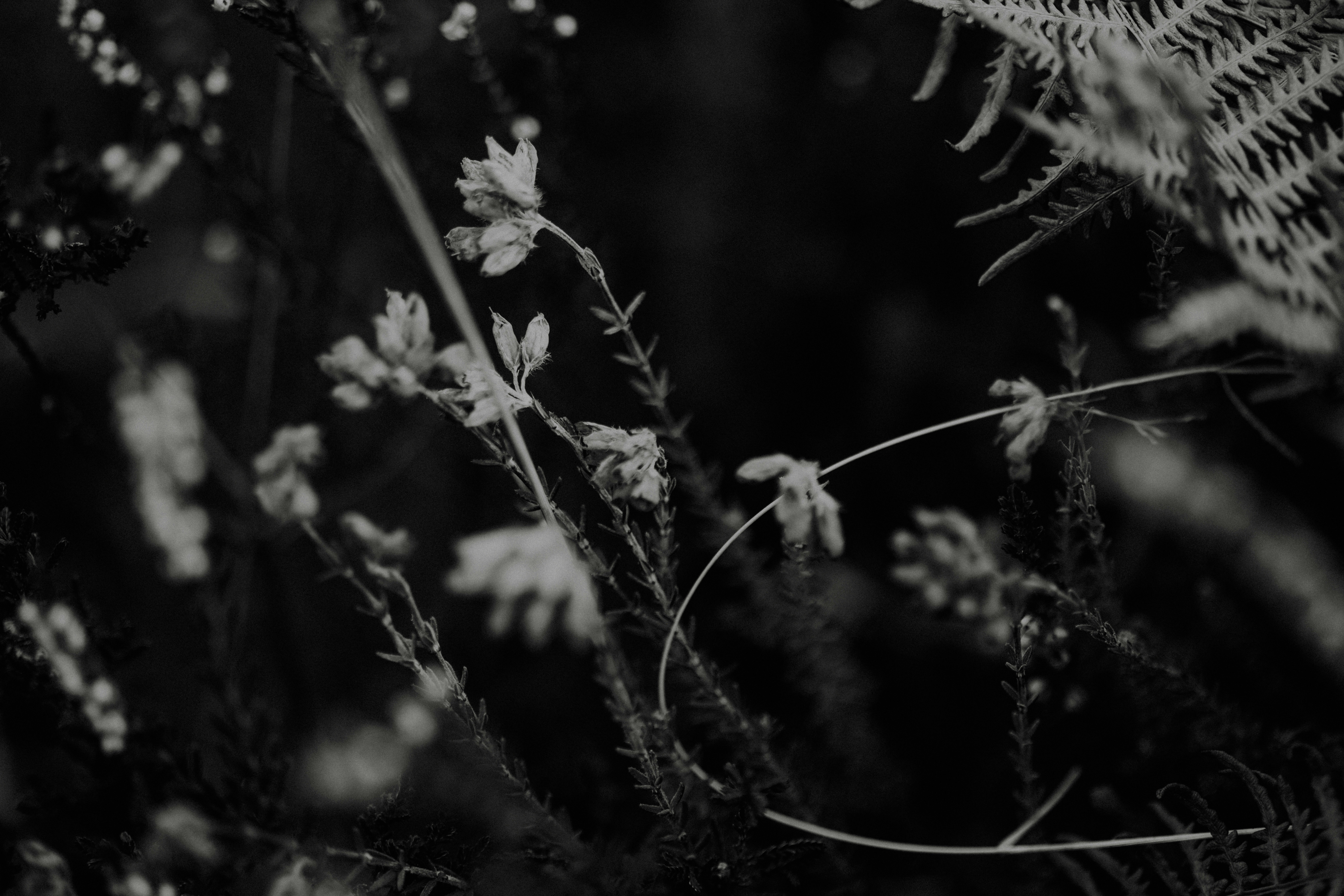 Photo by anniespratt