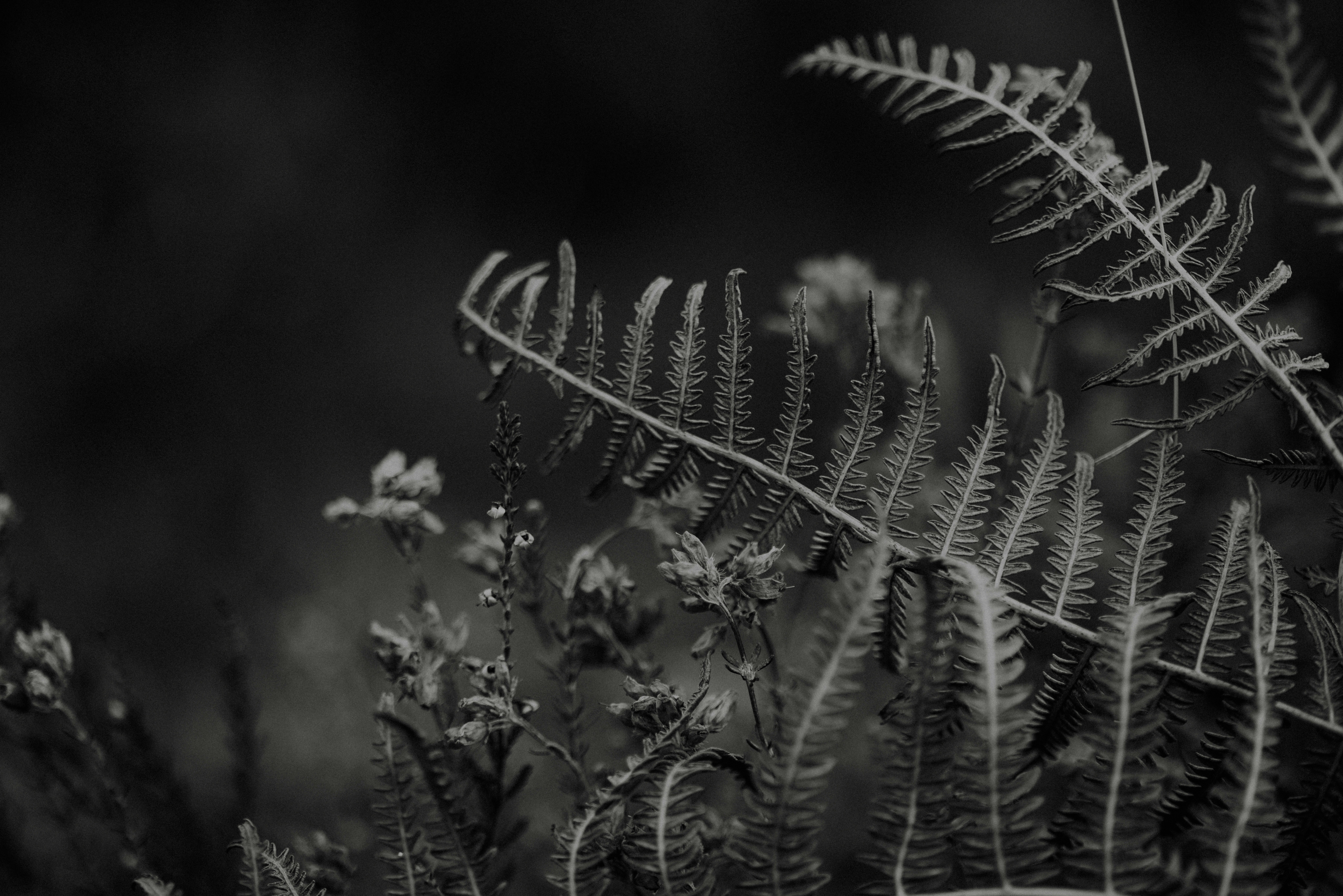 Photo by anniespratt