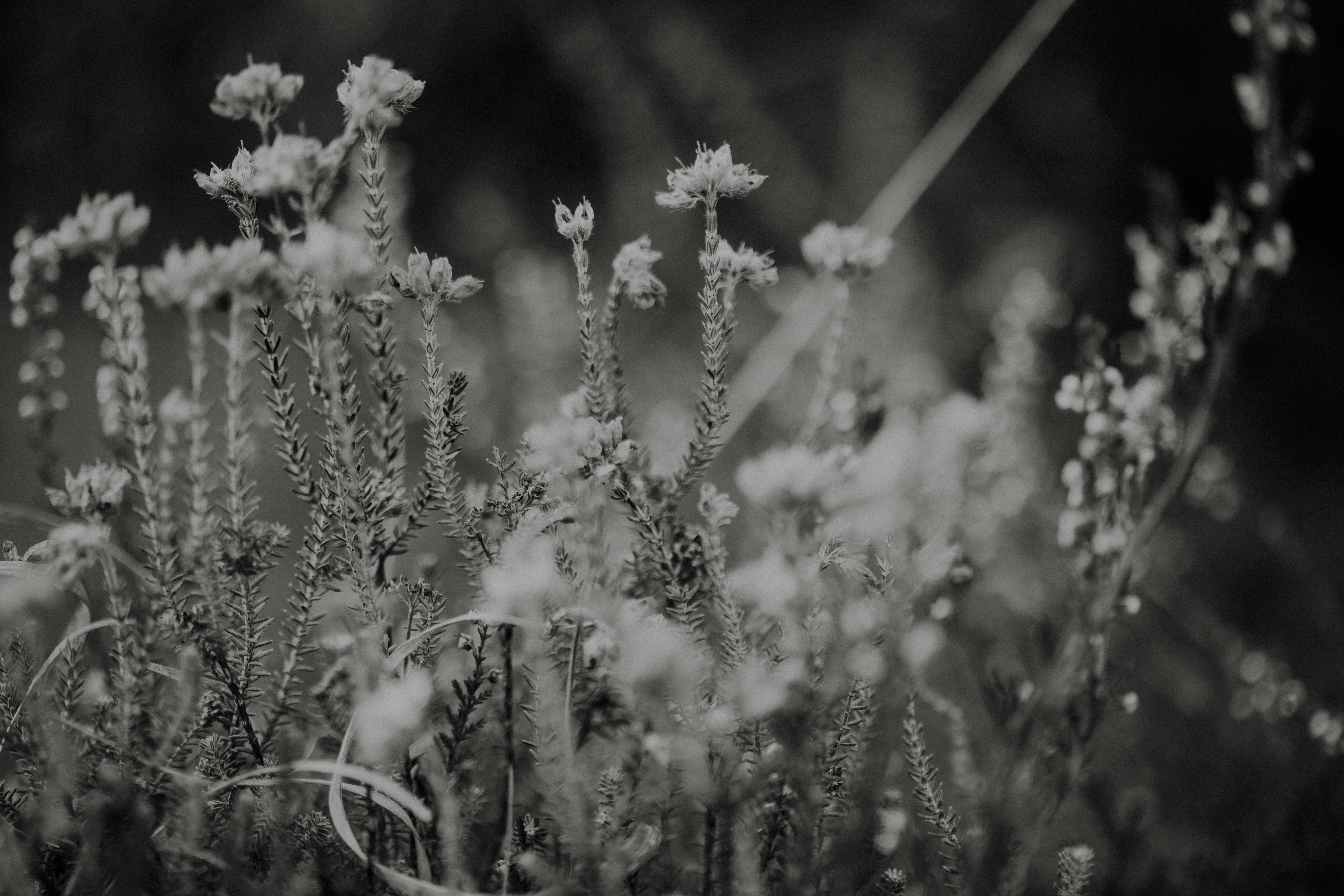 Photo by anniespratt