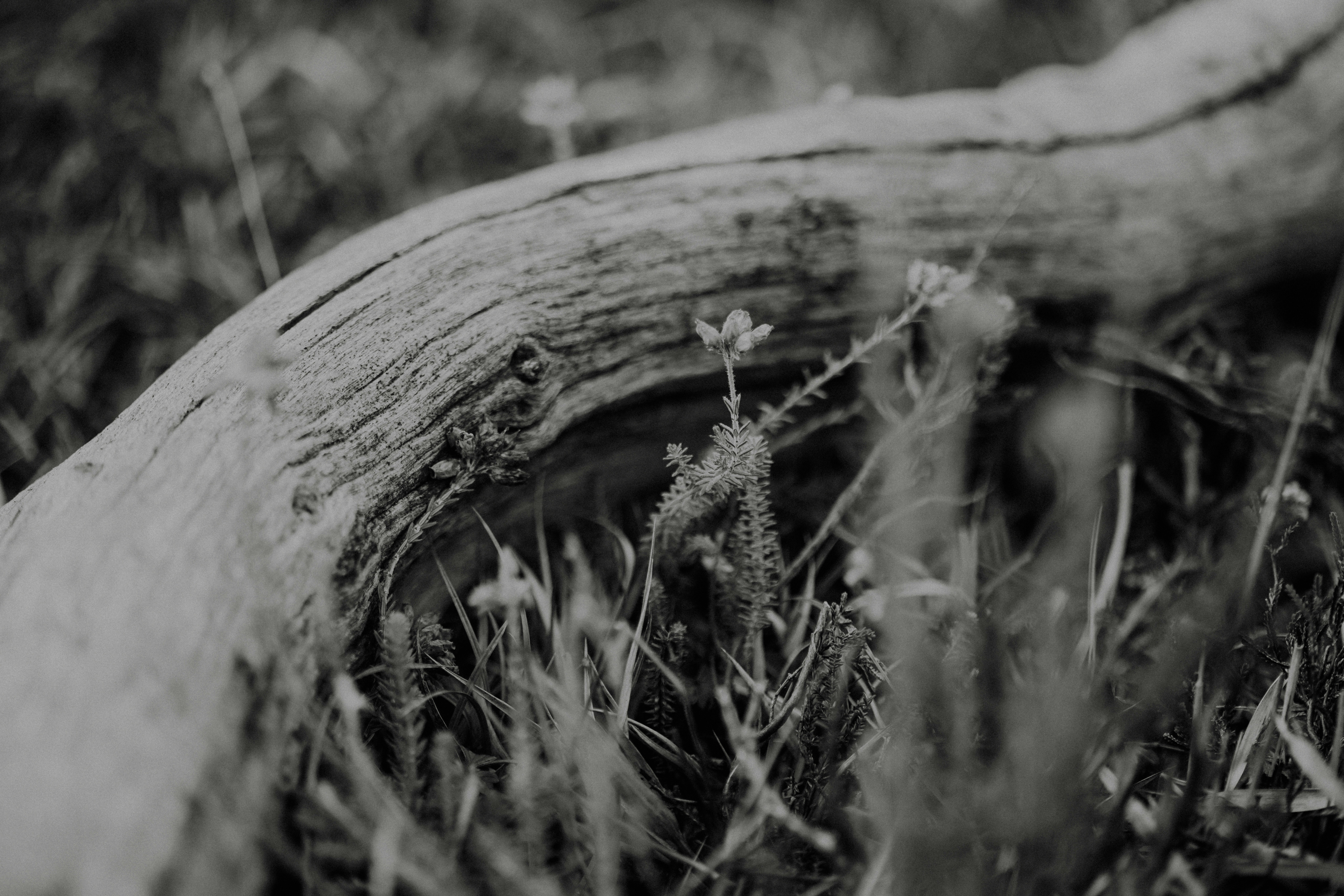 Photo by anniespratt