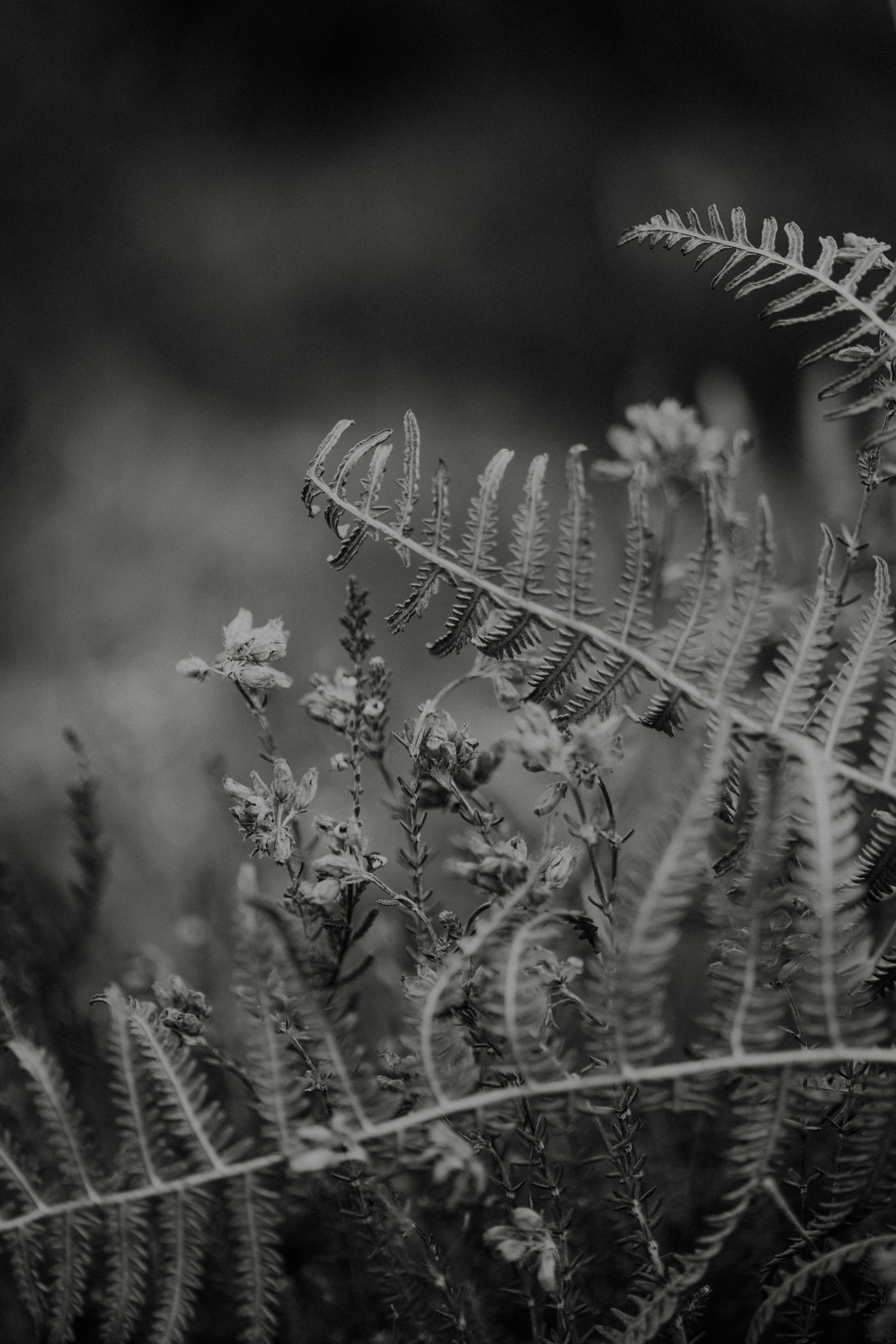 Photo by anniespratt